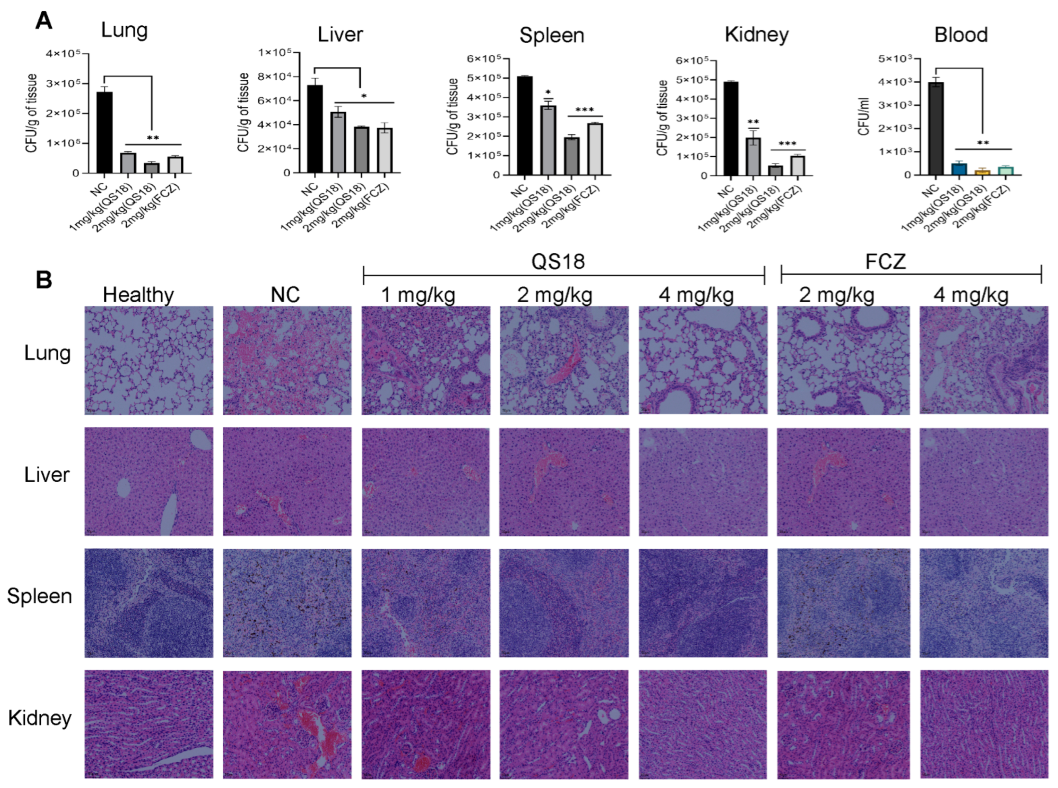 Microorganisms 12 02648 g007