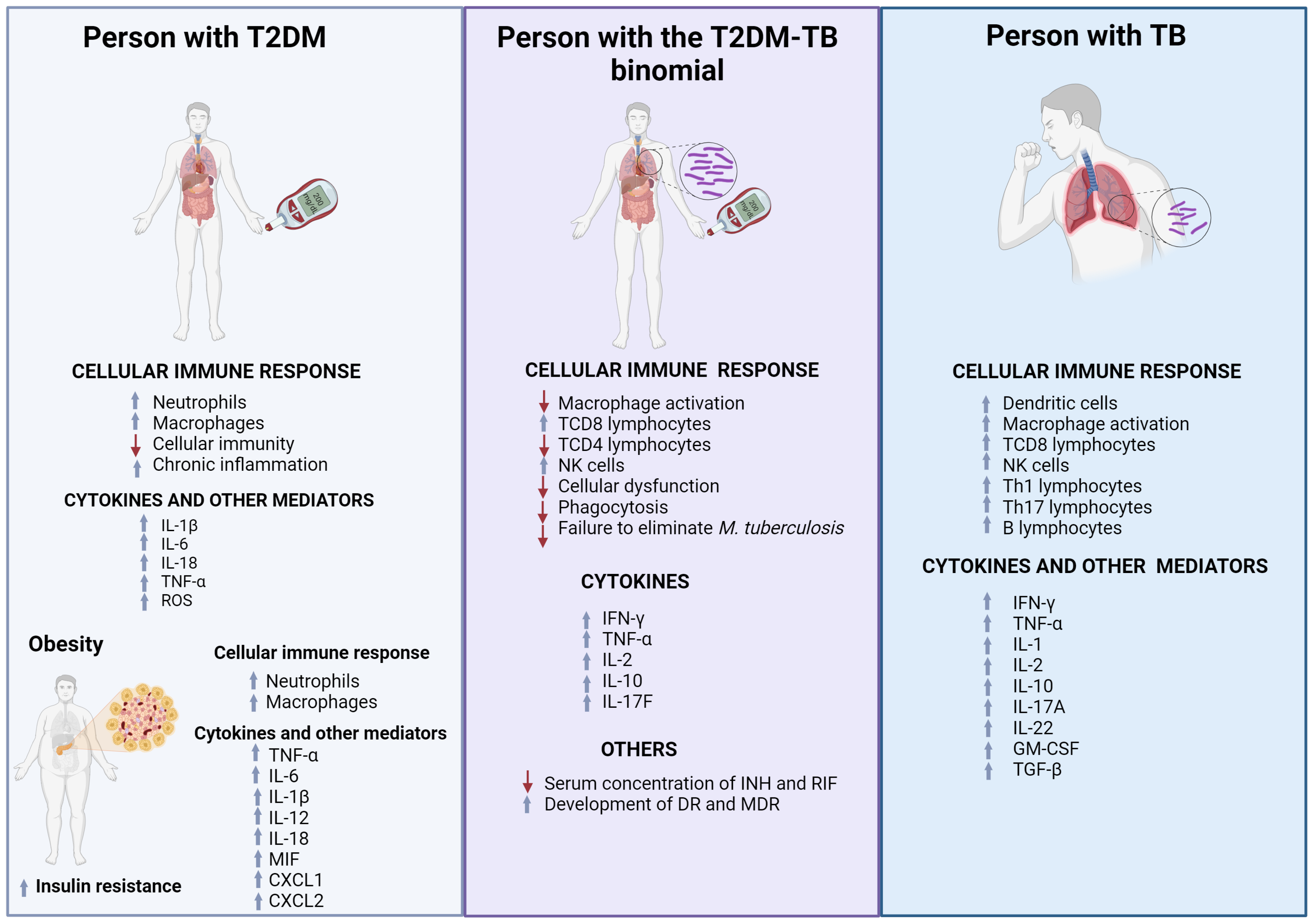 Microorganisms 12 02649 g001 Microorganisms 12 02649 g001