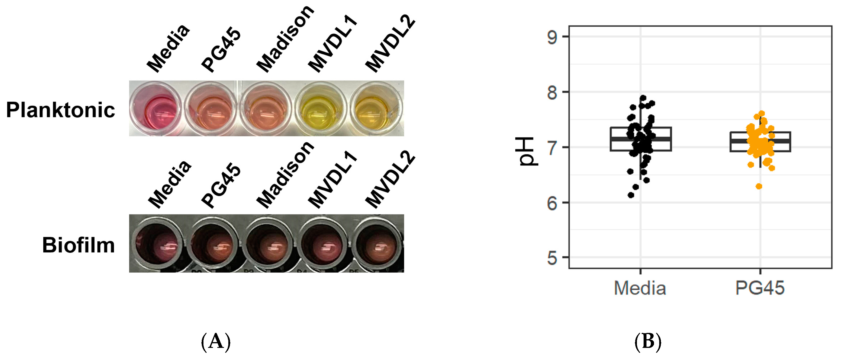 Microorganisms 12 02650 g004