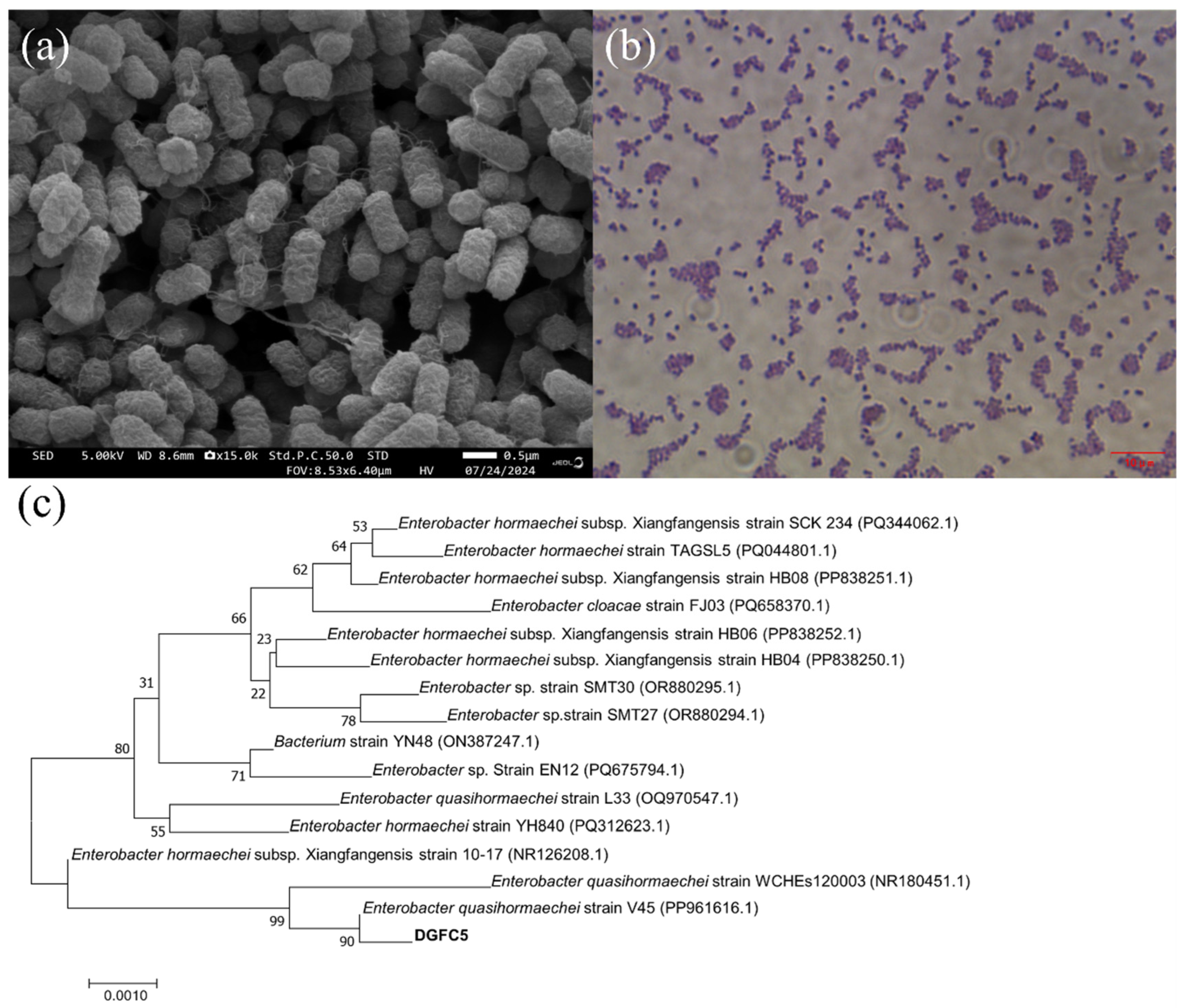 Microorganisms 12 02652 g002