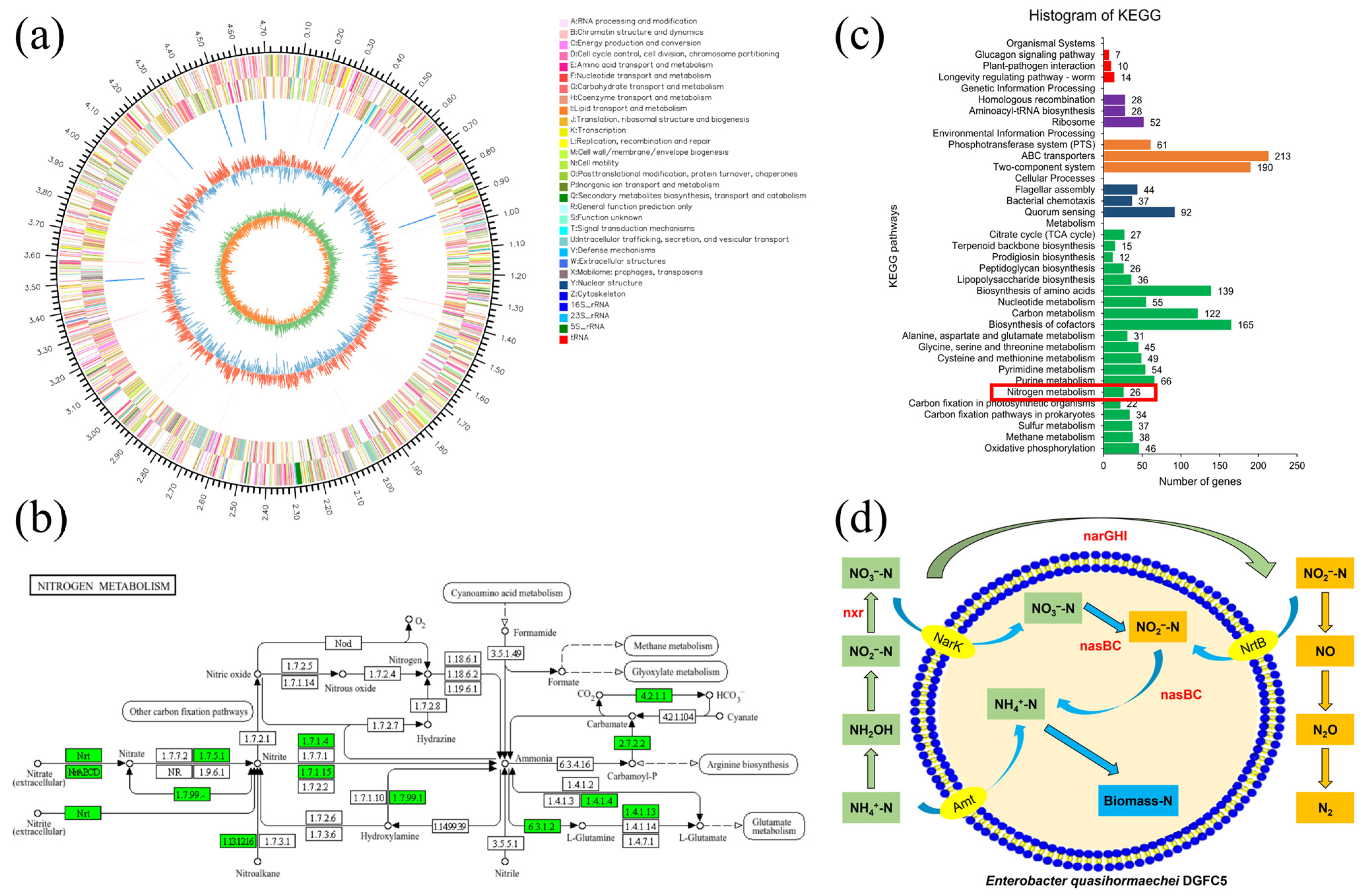 Microorganisms 12 02652 g004