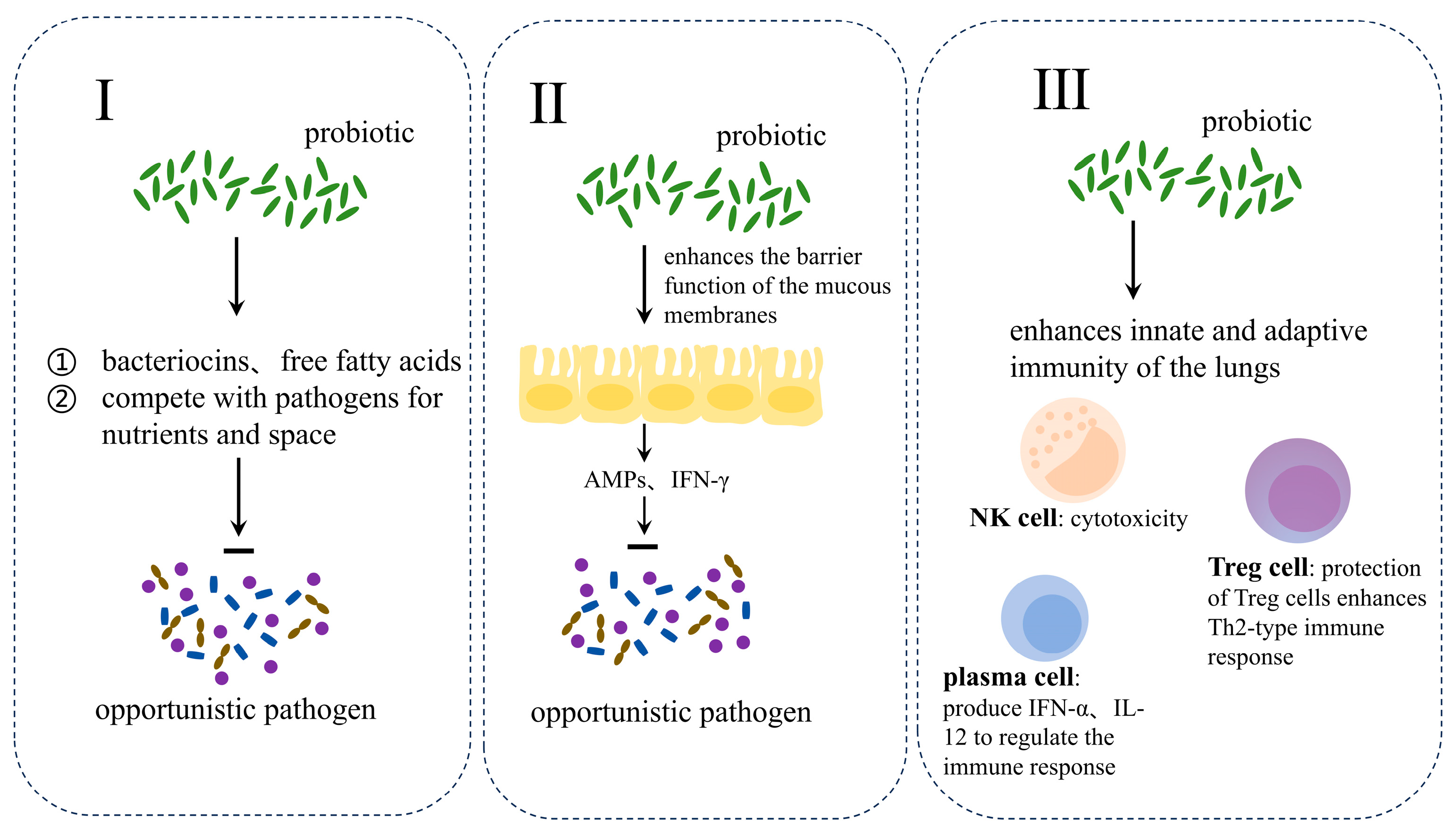 Microorganisms 12 02653 g003