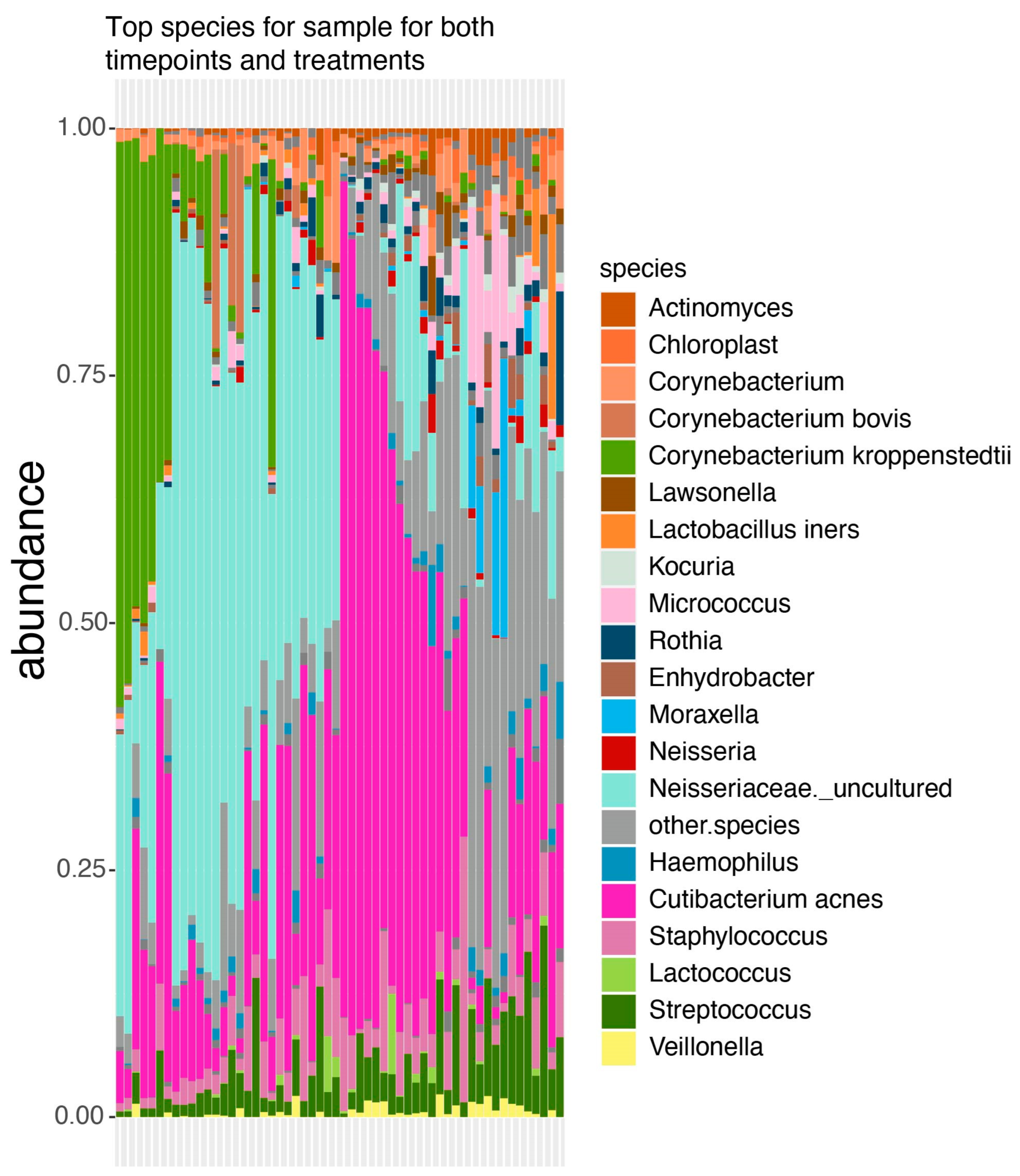 Microorganisms 12 02655 g001