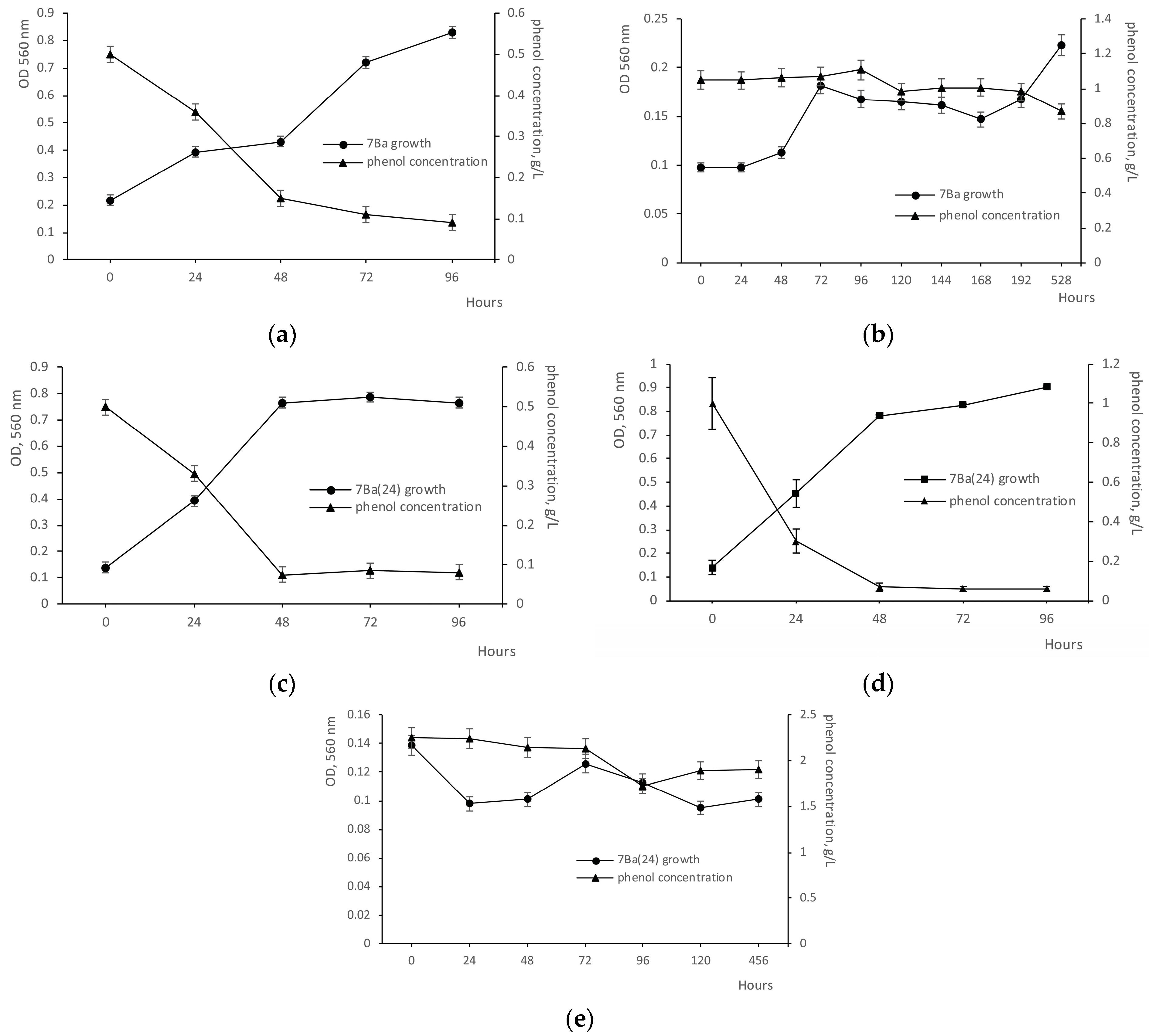 Microorganisms 12 02662 g001