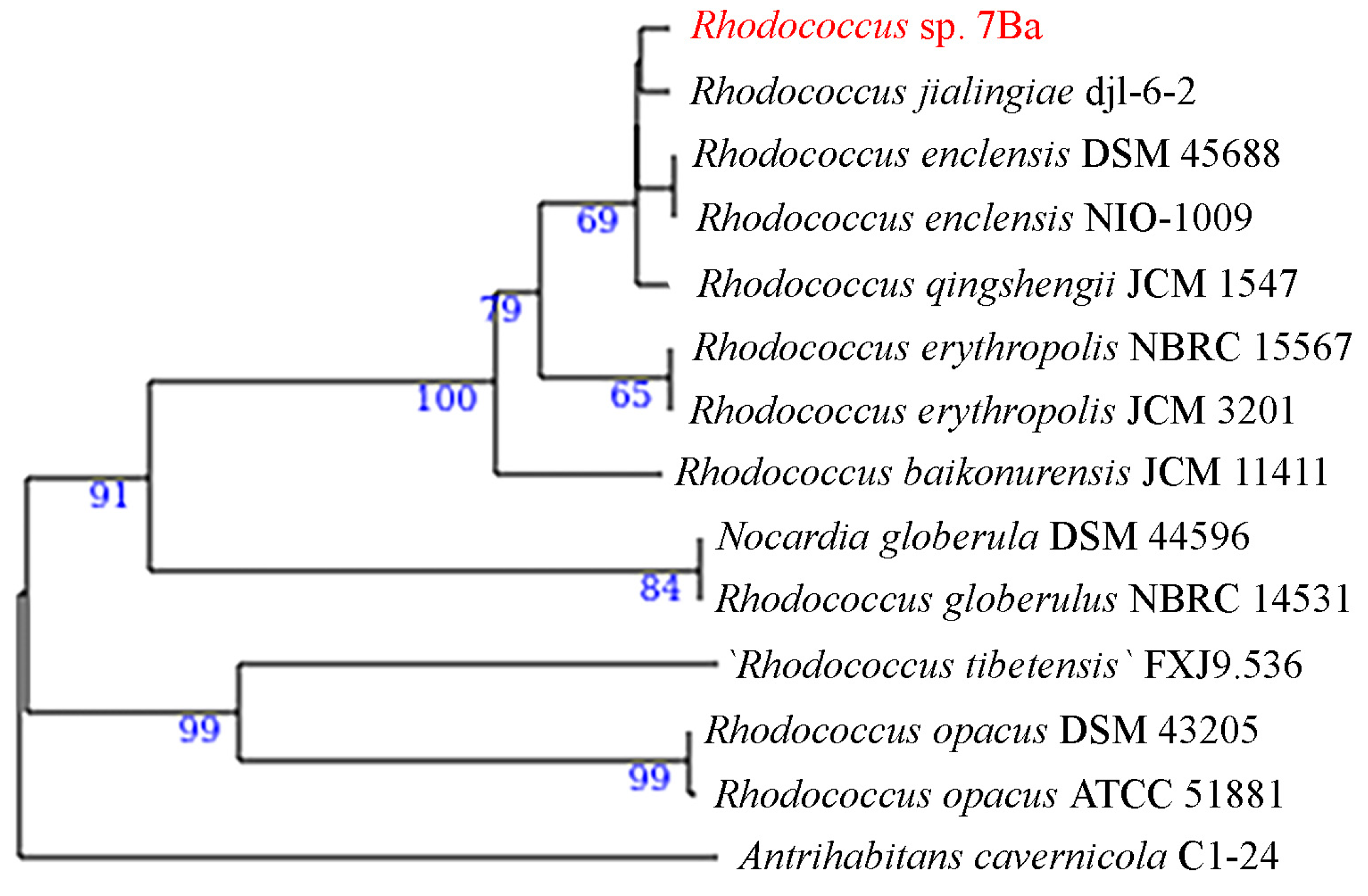 Microorganisms 12 02662 g006