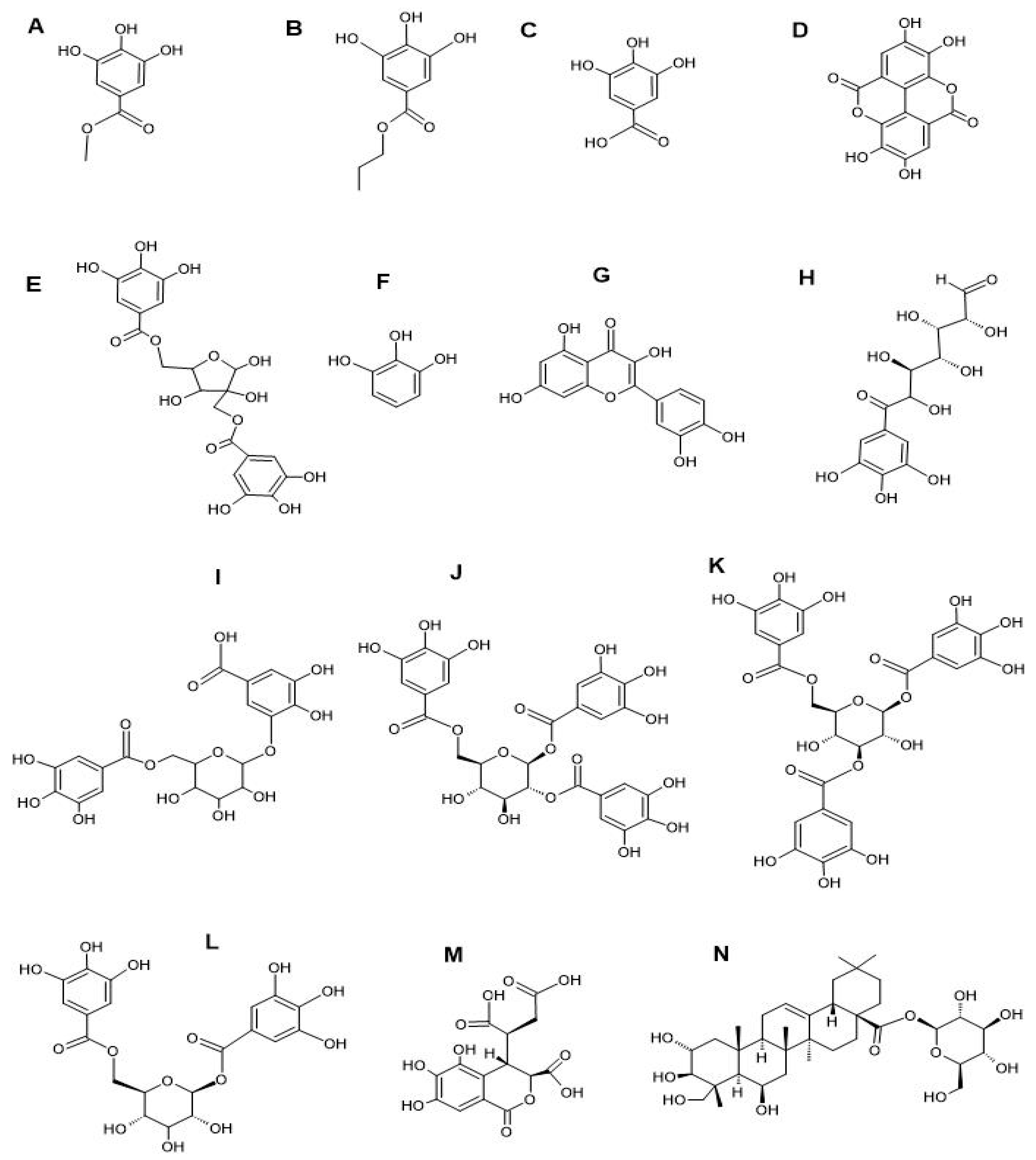 Microorganisms 12 02664 g002