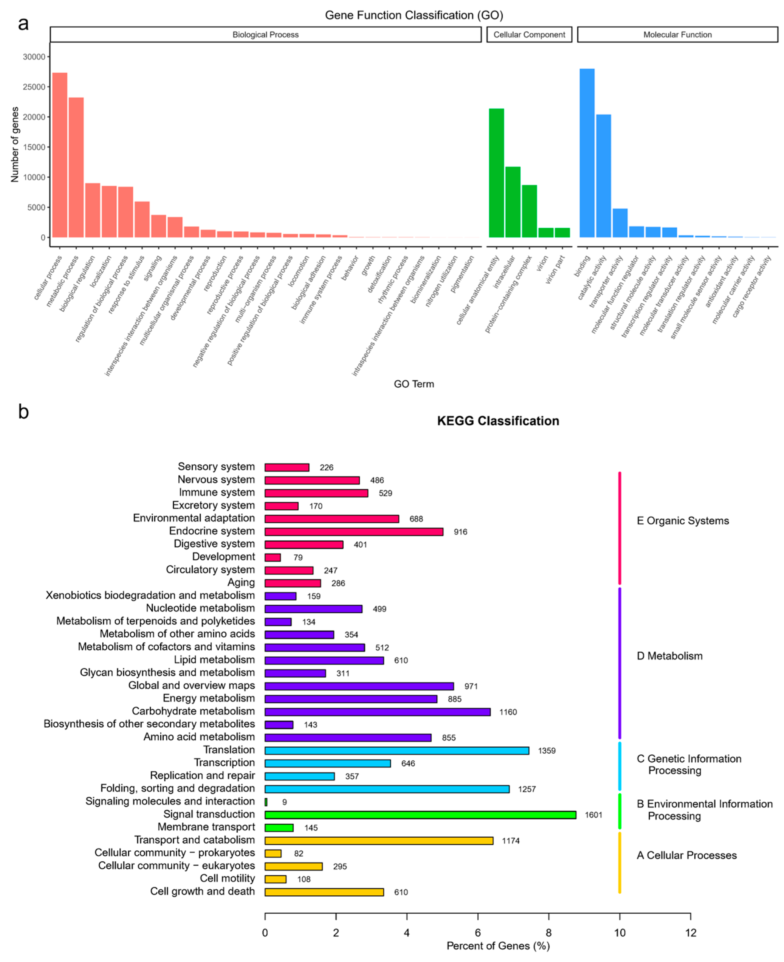 Microorganisms 12 02665 g001