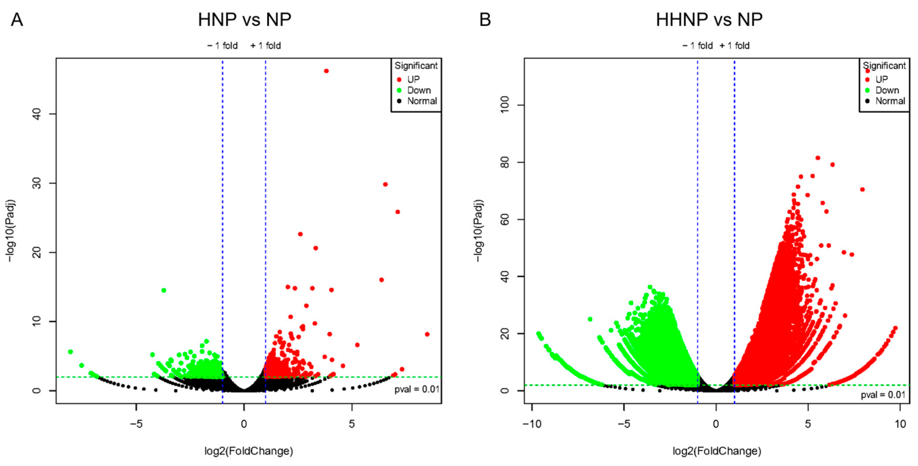 Microorganisms 12 02665 g004