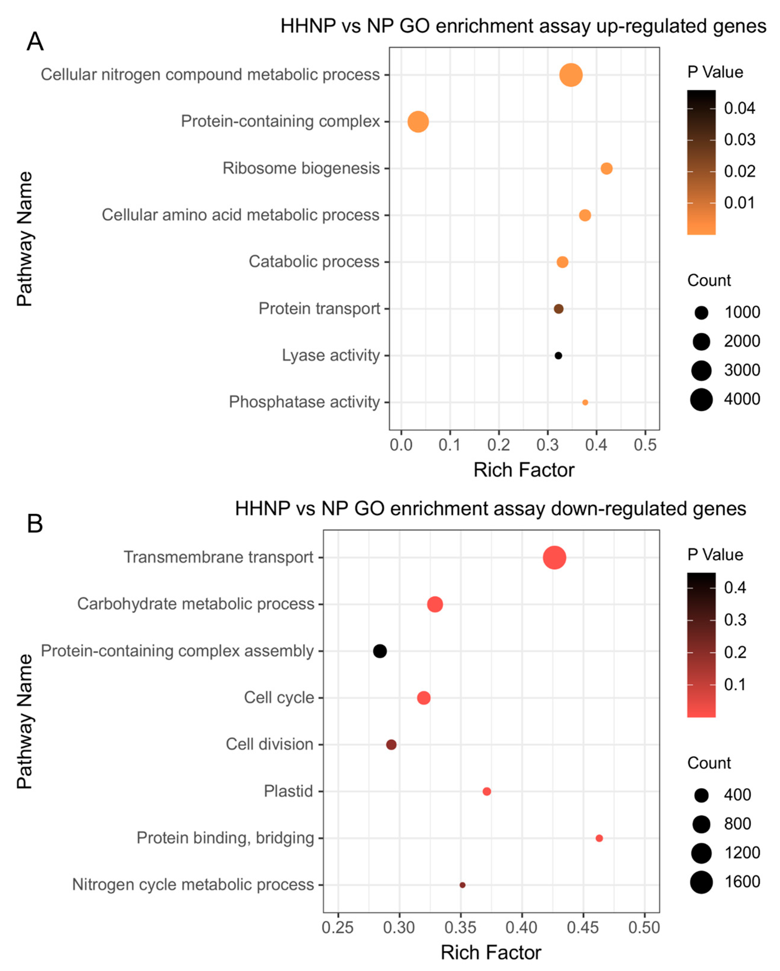 Microorganisms 12 02665 g005