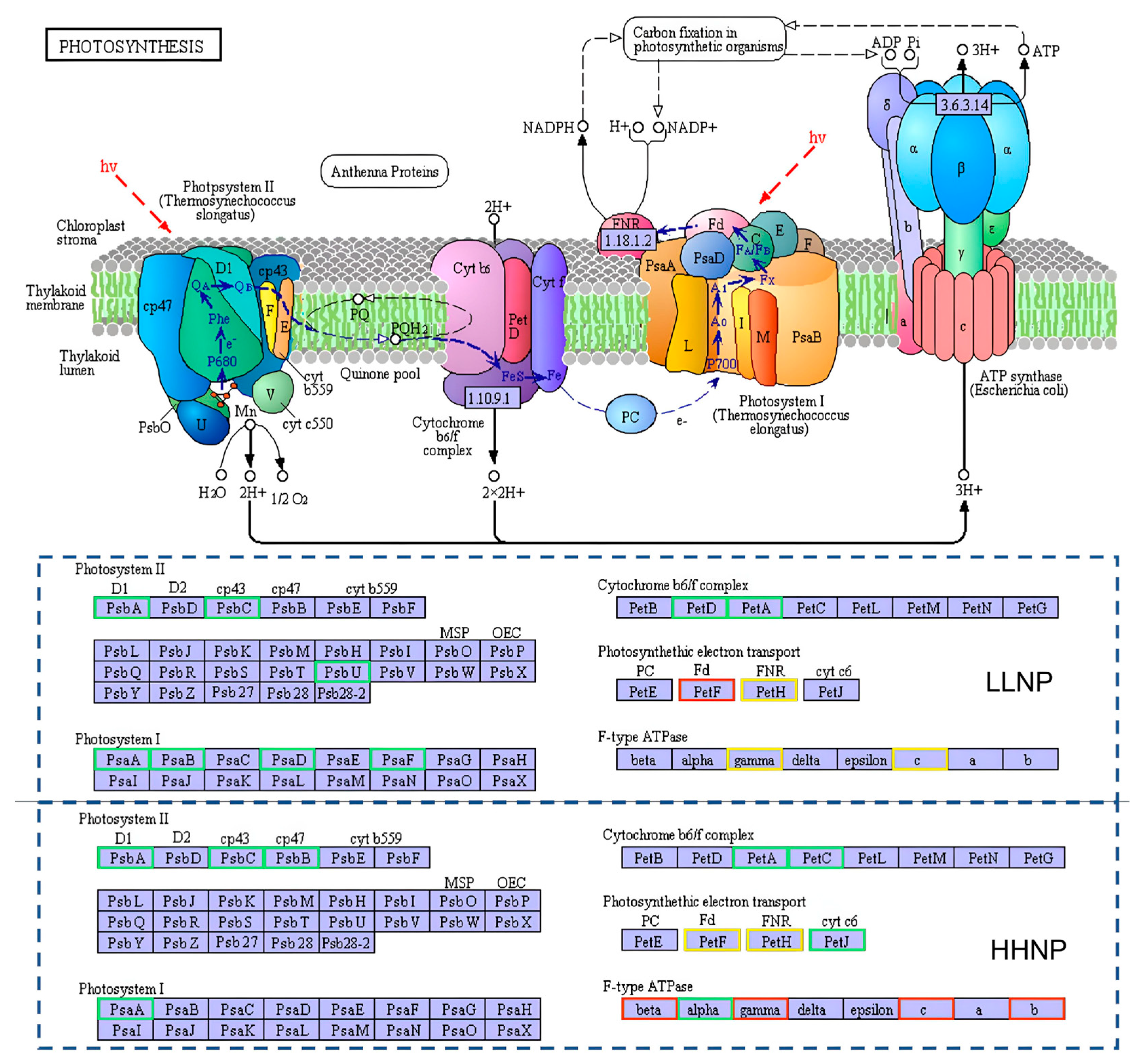 Microorganisms 12 02665 g006
