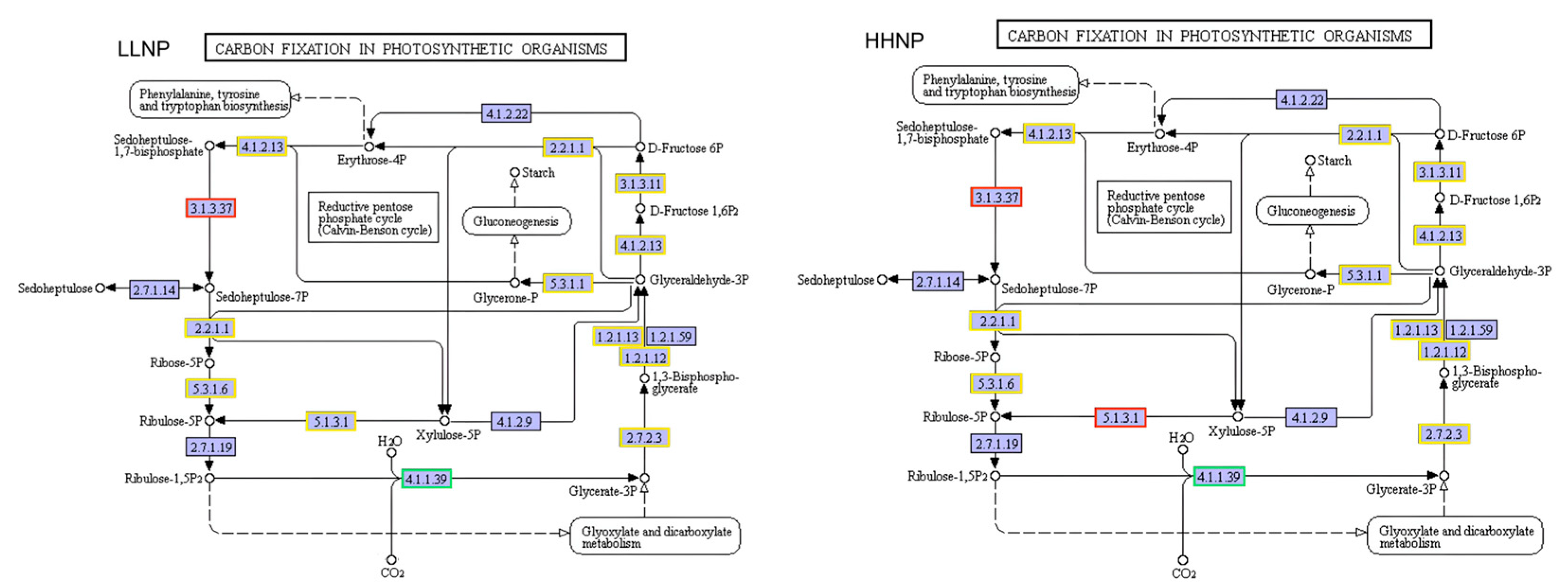 Microorganisms 12 02665 g007