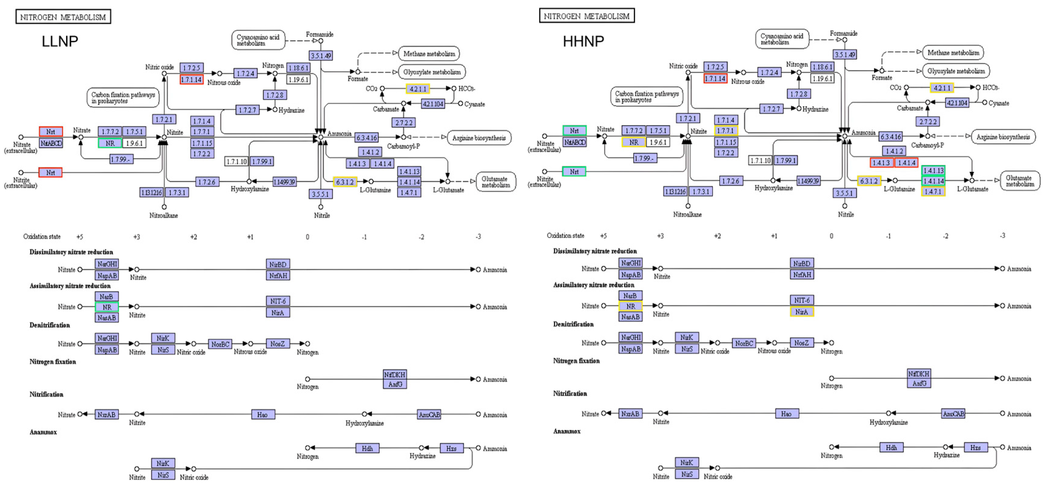 Microorganisms 12 02665 g009