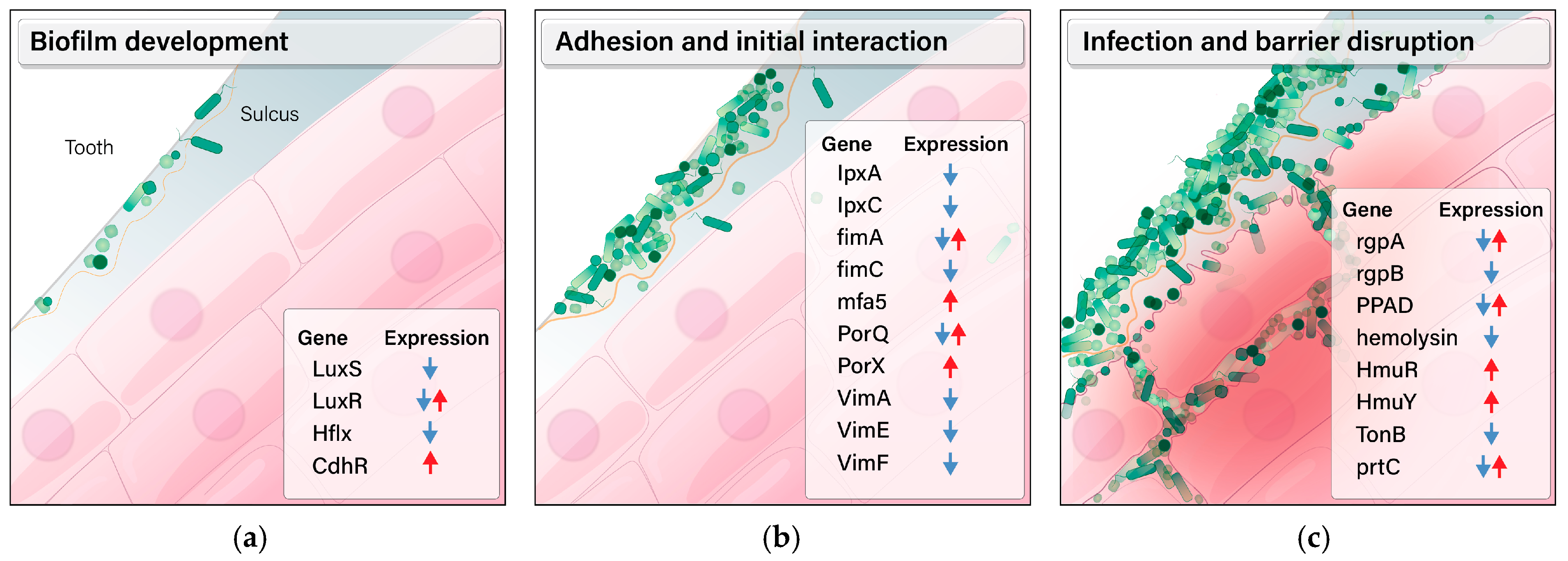 Microorganisms 12 02668 g007