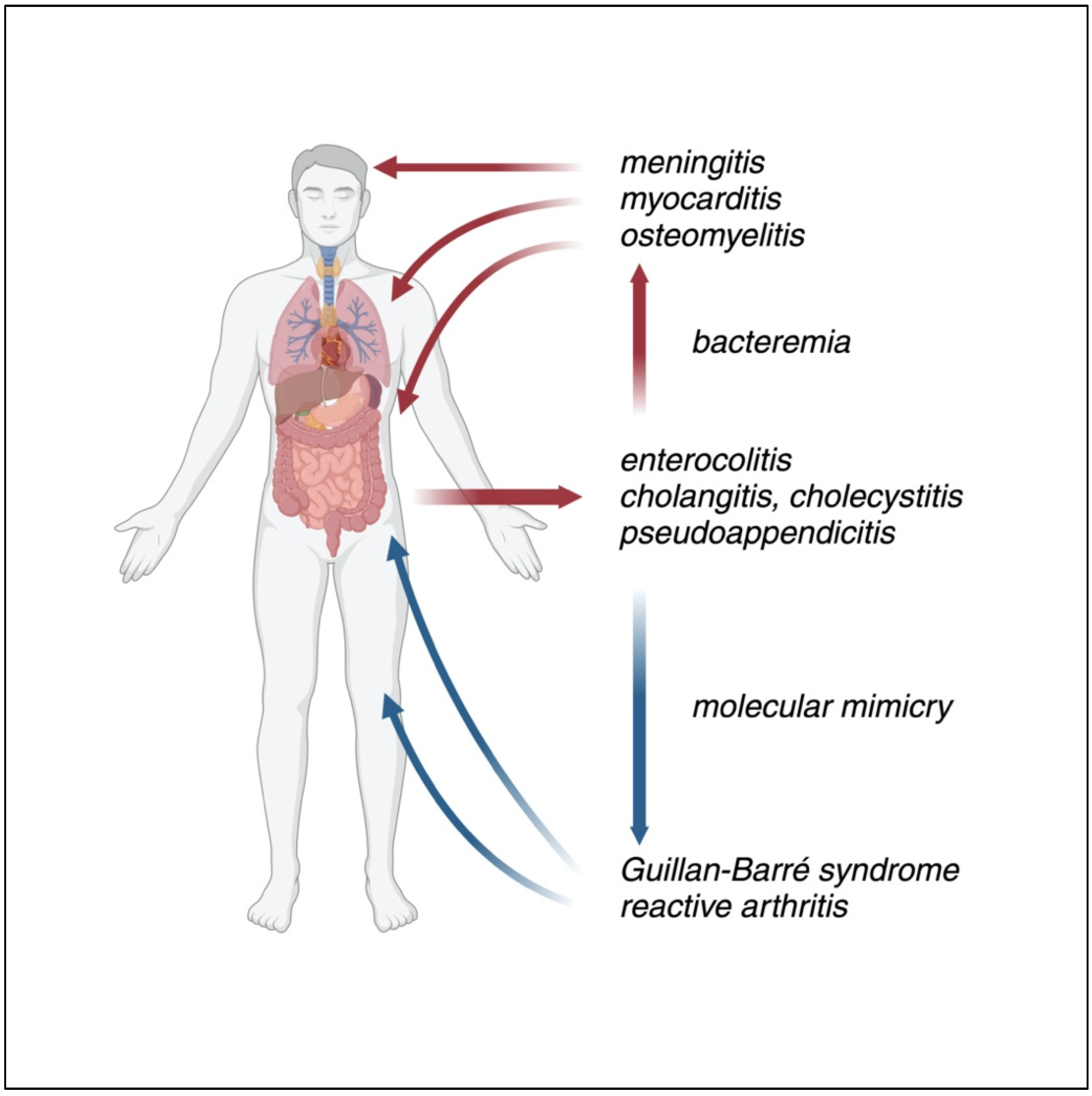 Microorganisms 12 02669 g003