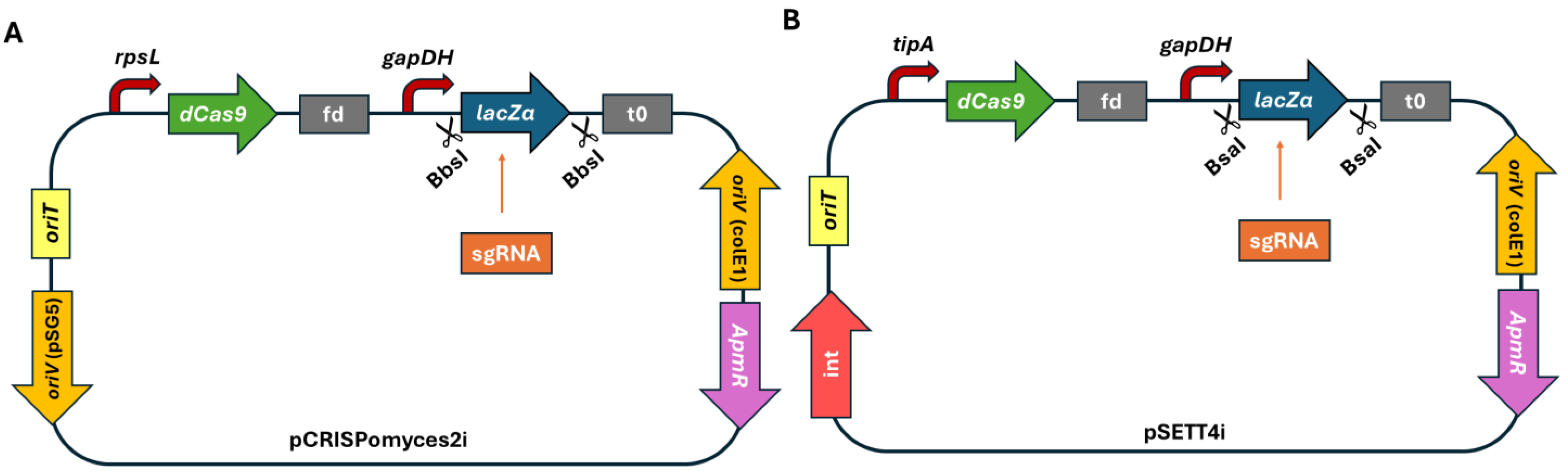 Microorganisms 13 00001 g001