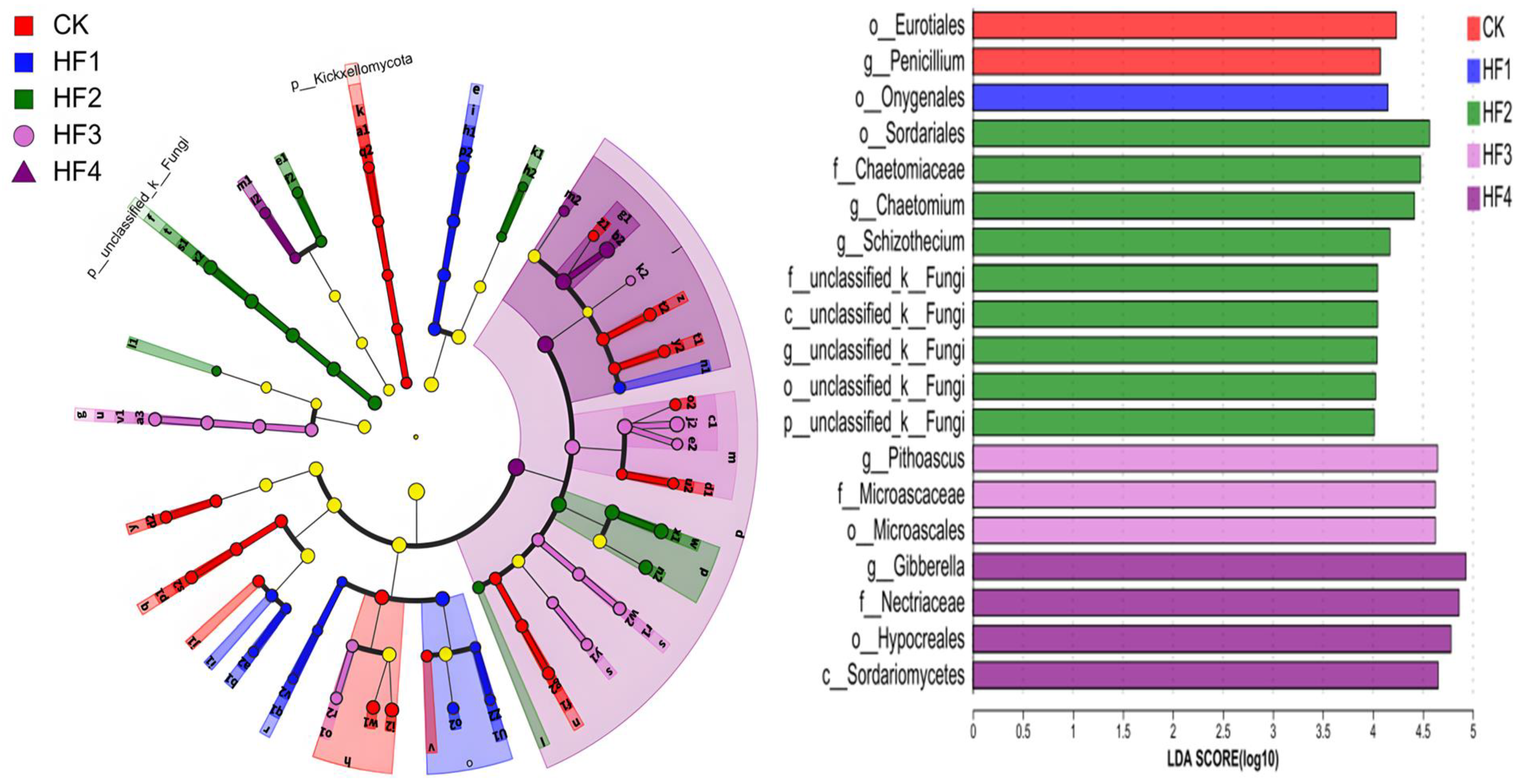 Microorganisms 13 00002 g007