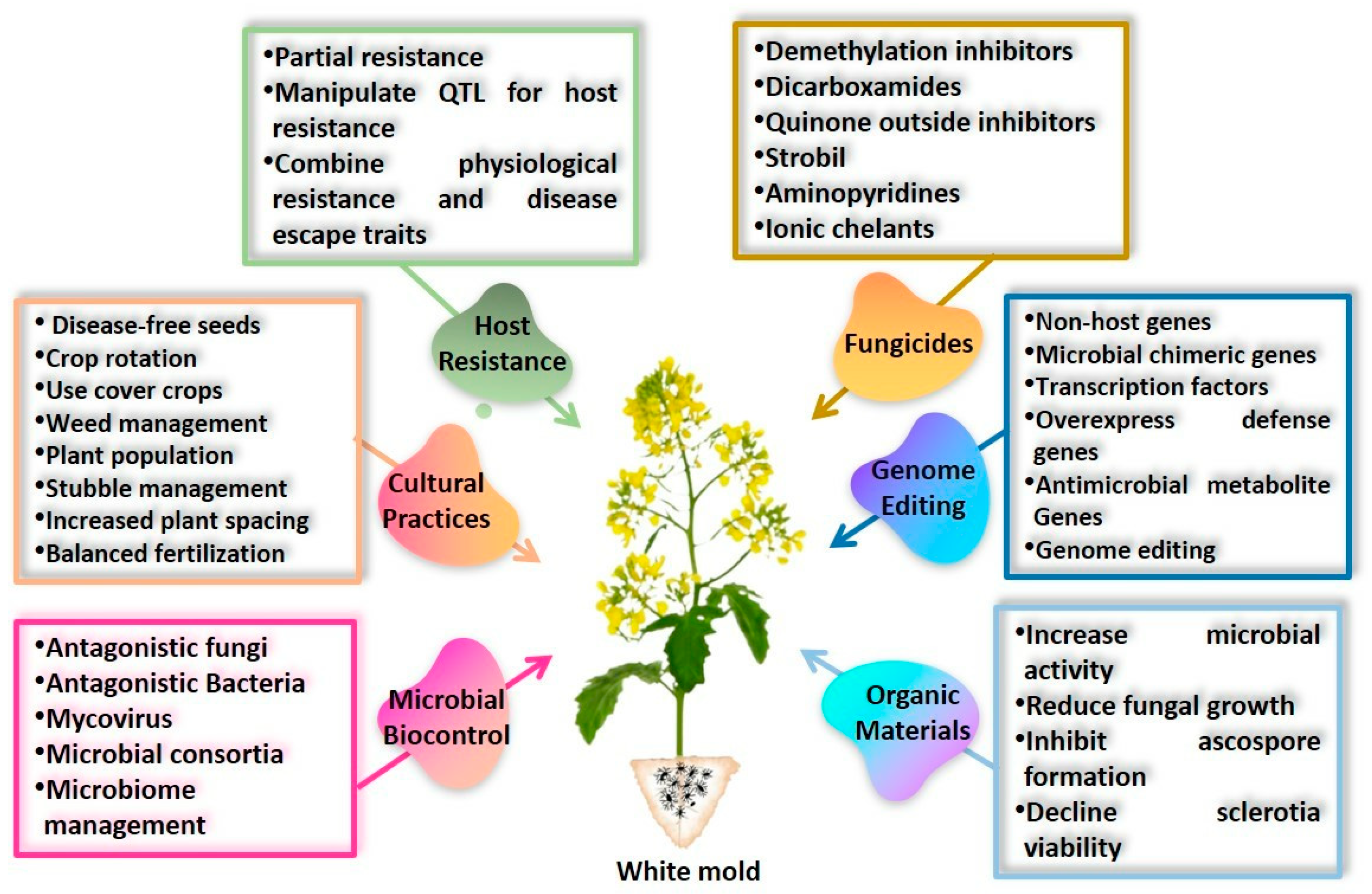 Microorganisms 13 00004 g005