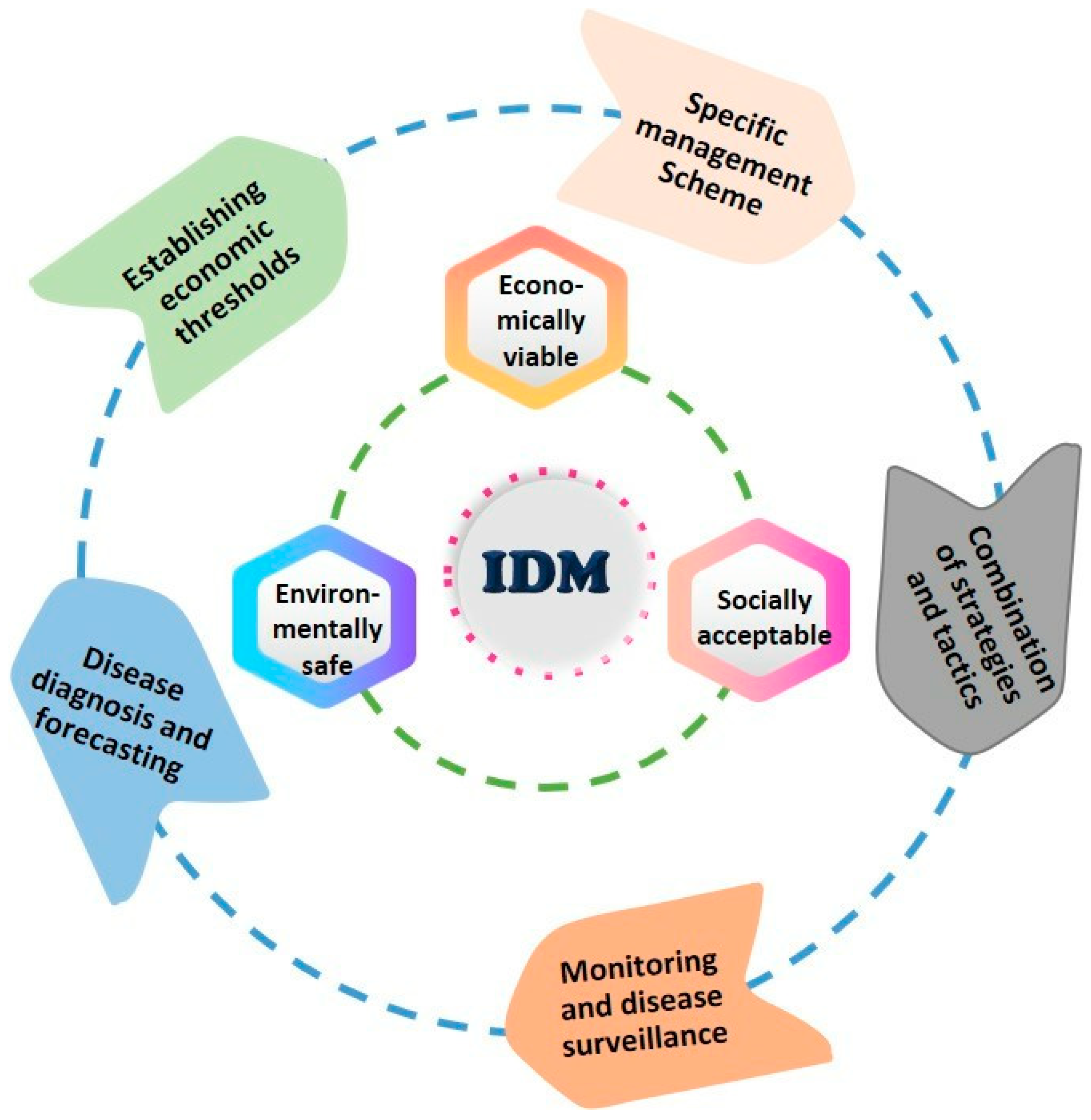 Microorganisms 13 00004 g007