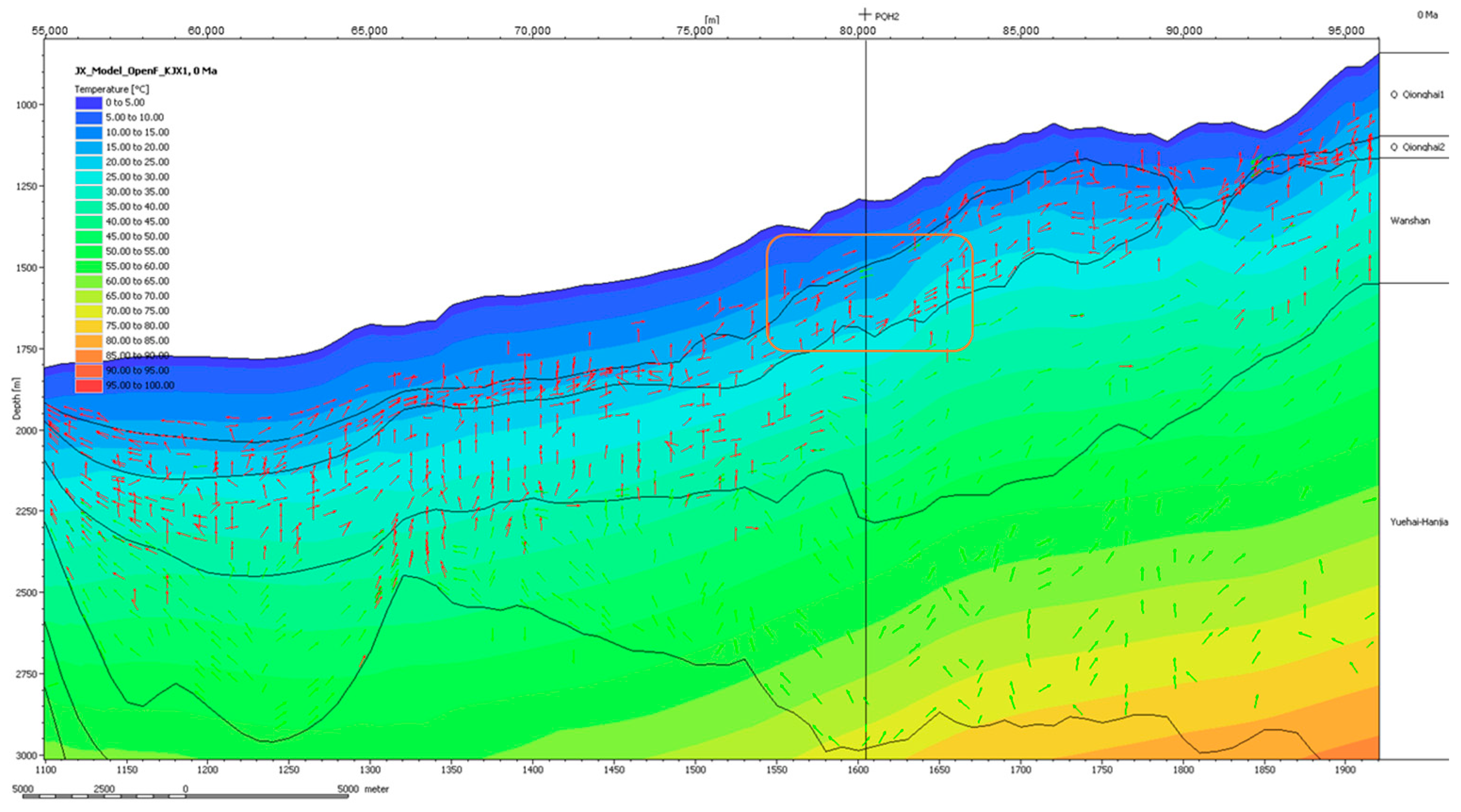 Microorganisms 13 00005 g016