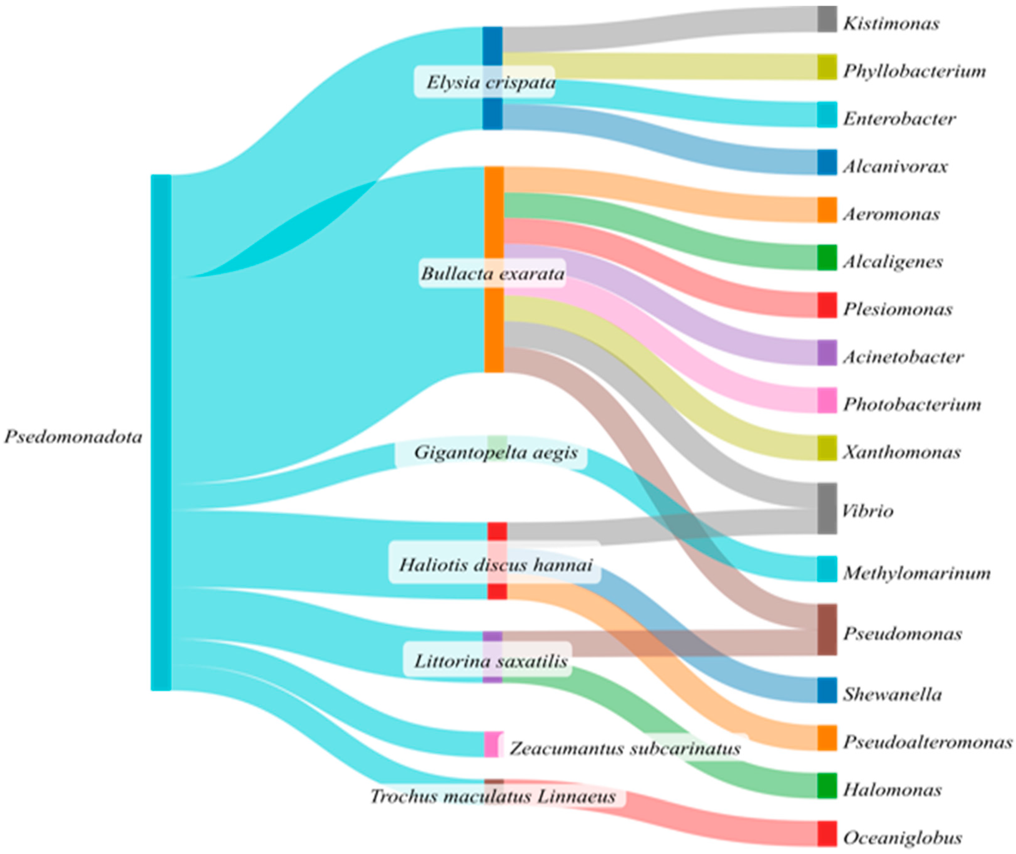Microorganisms 13 00008 g004