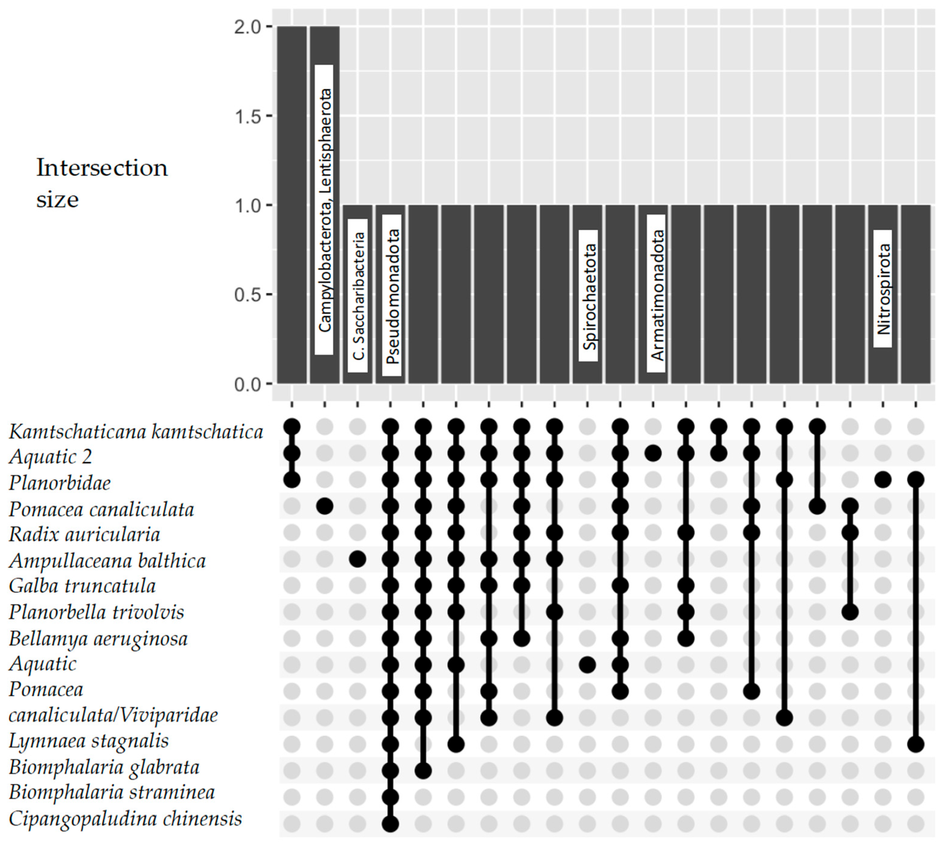 Microorganisms 13 00008 g005