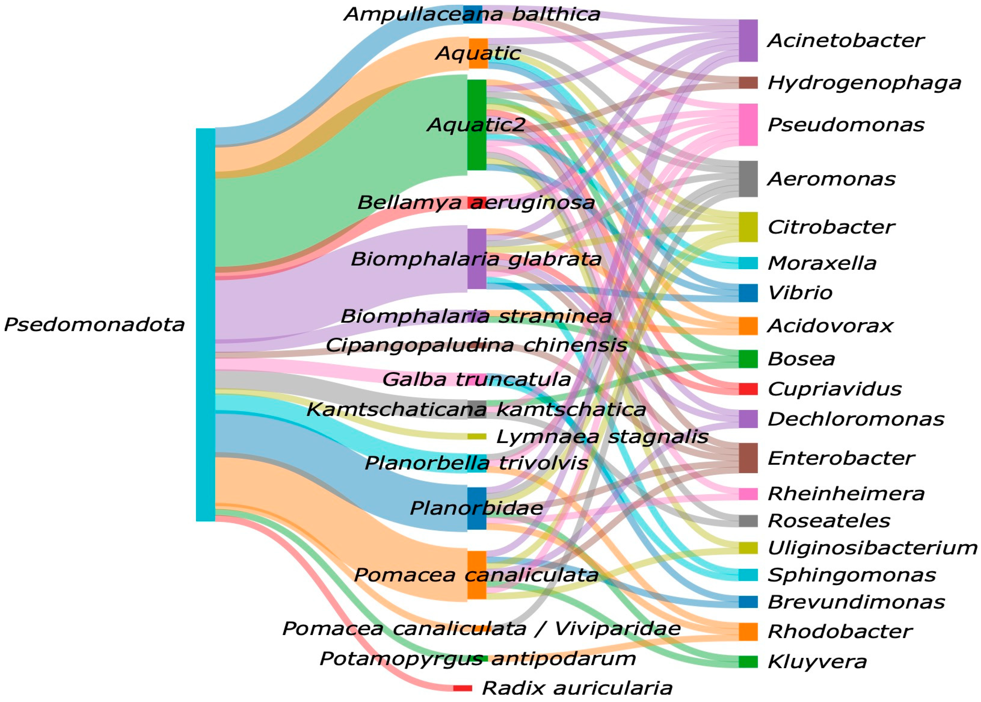 Microorganisms 13 00008 g006