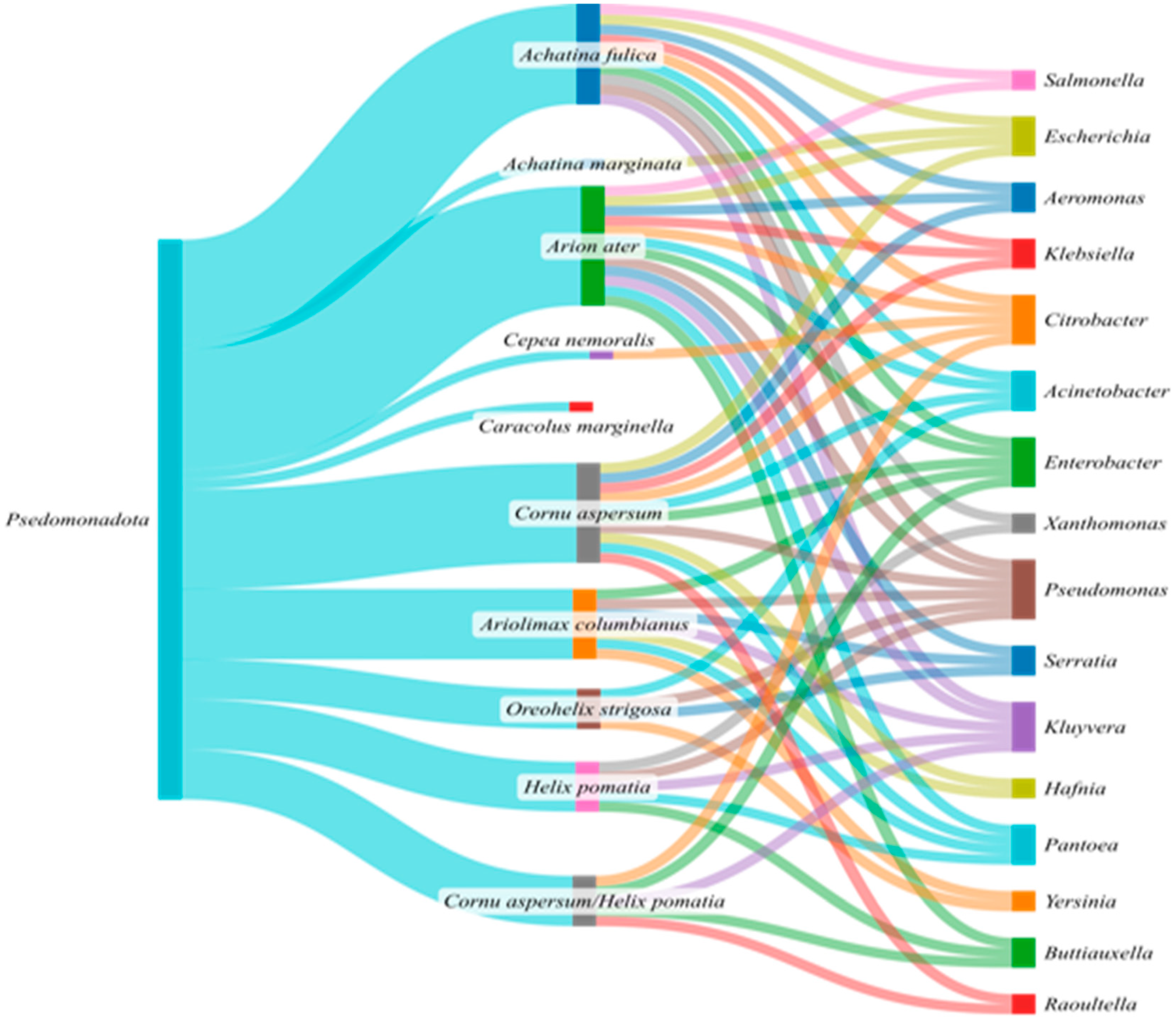 Microorganisms 13 00008 g008