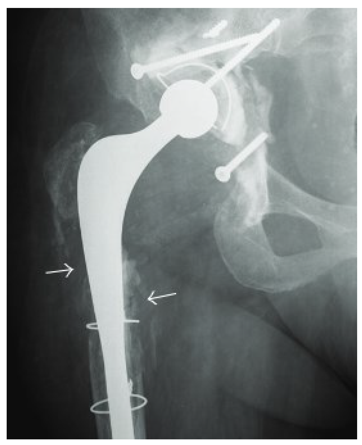 Microorganisms 13 00010 g001 Microorganisms 13 00010 g001