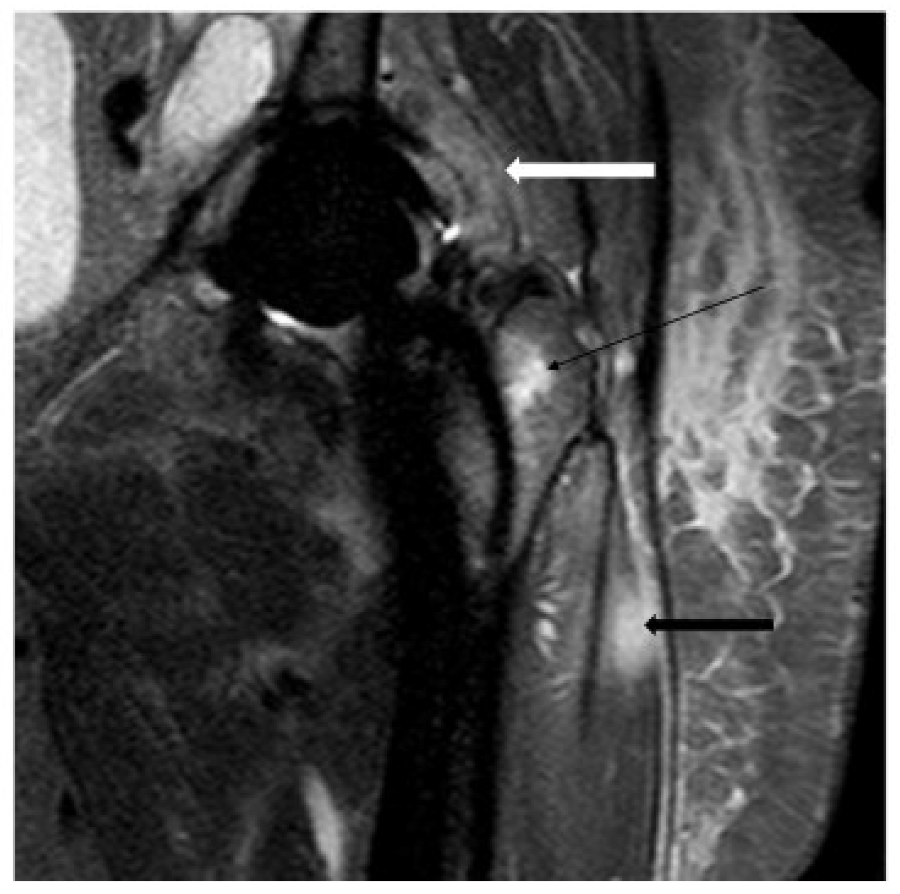 Microorganisms 13 00010 g004 Microorganisms 13 00010 g004