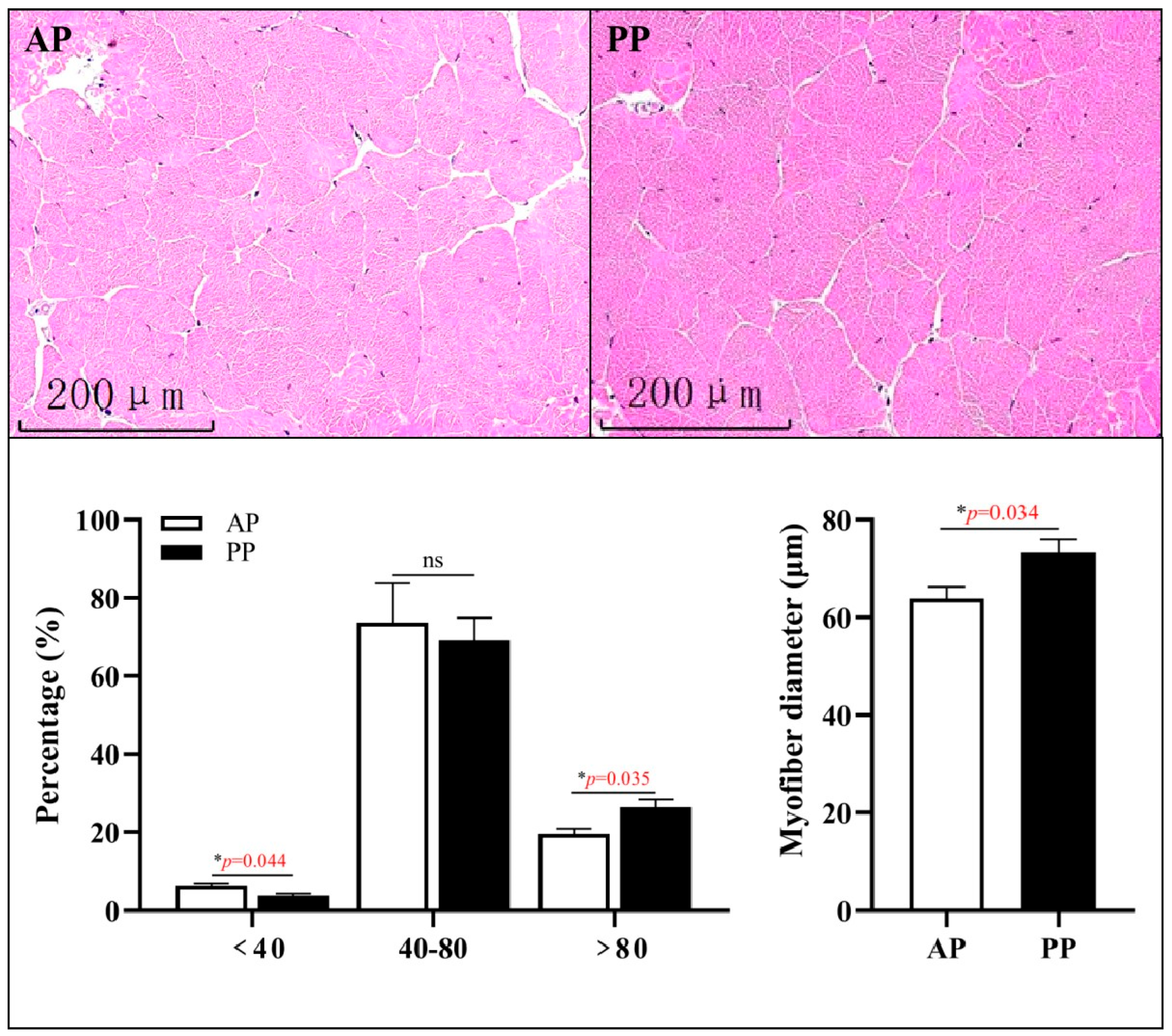 Microorganisms 13 00011 g002