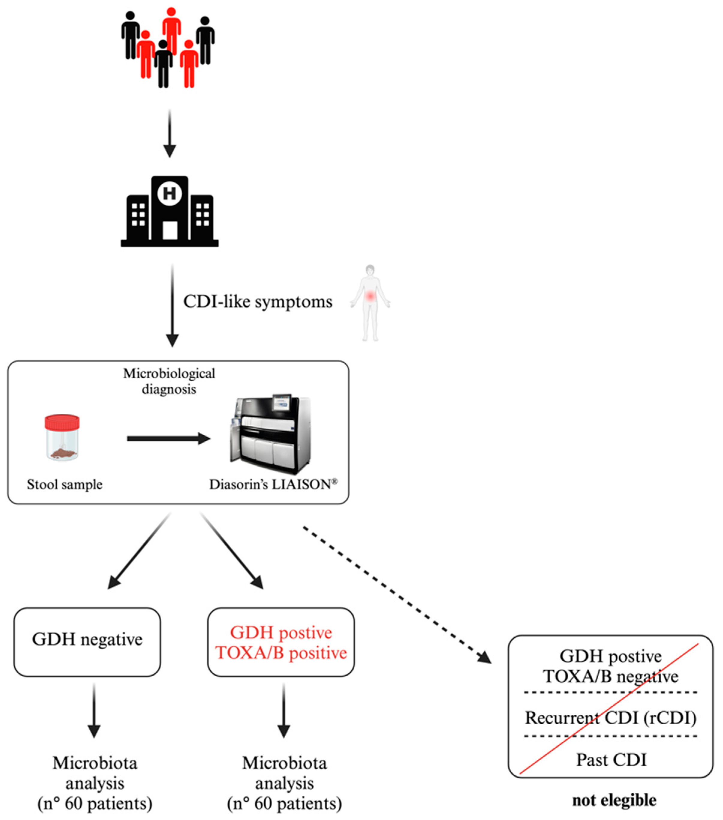 Microorganisms 13 00016 g001