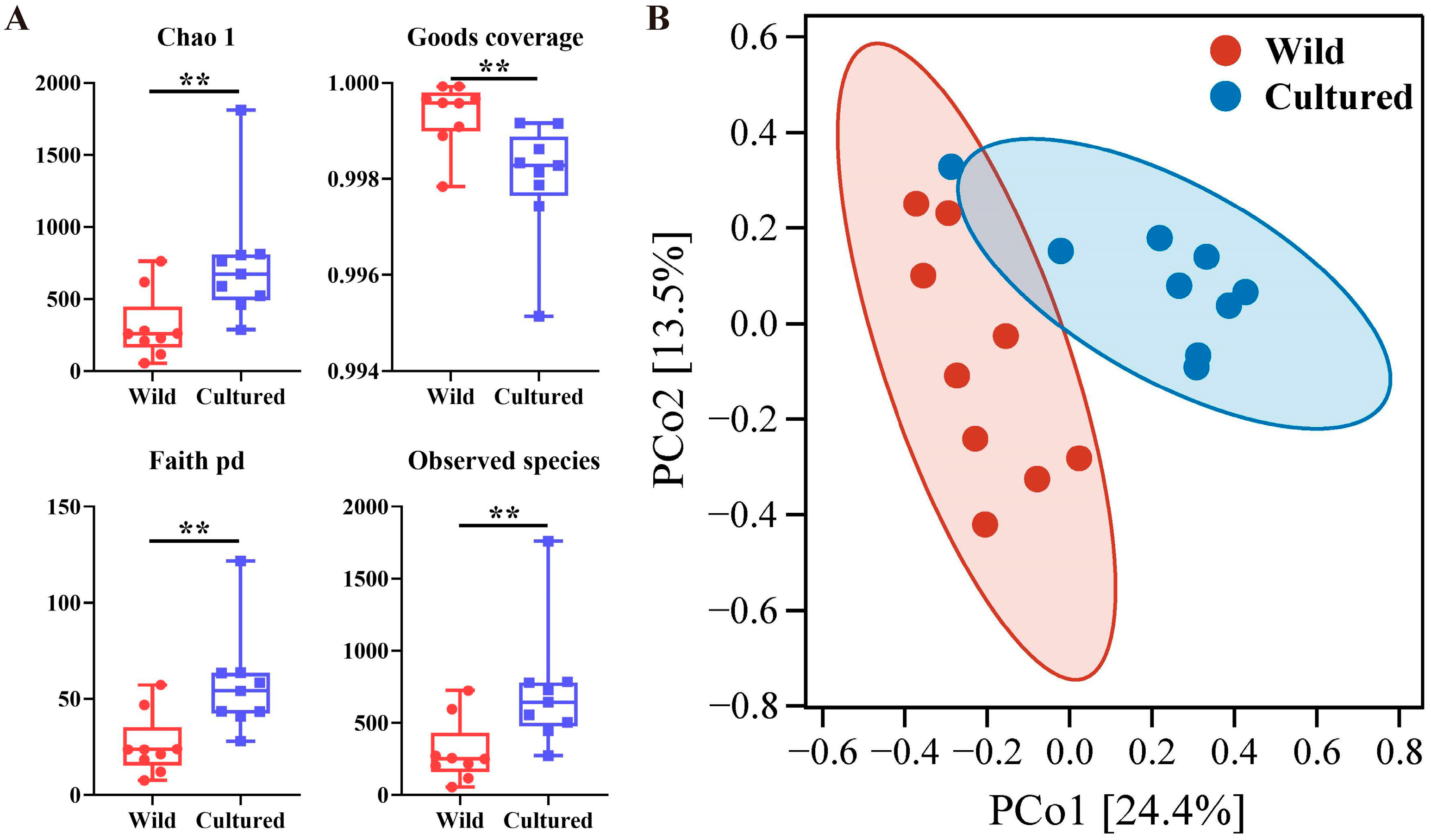 Microorganisms 13 00020 g004