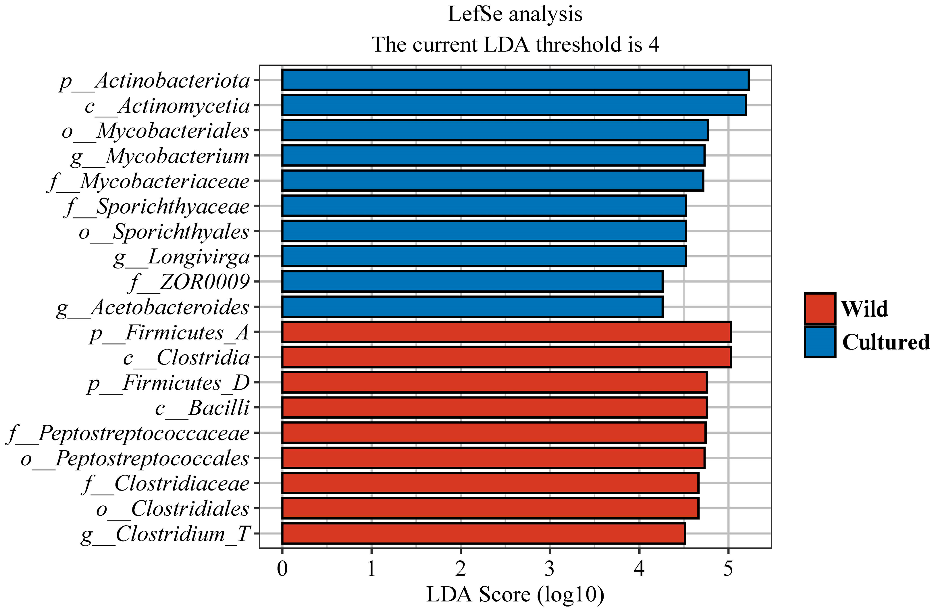 Microorganisms 13 00020 g005