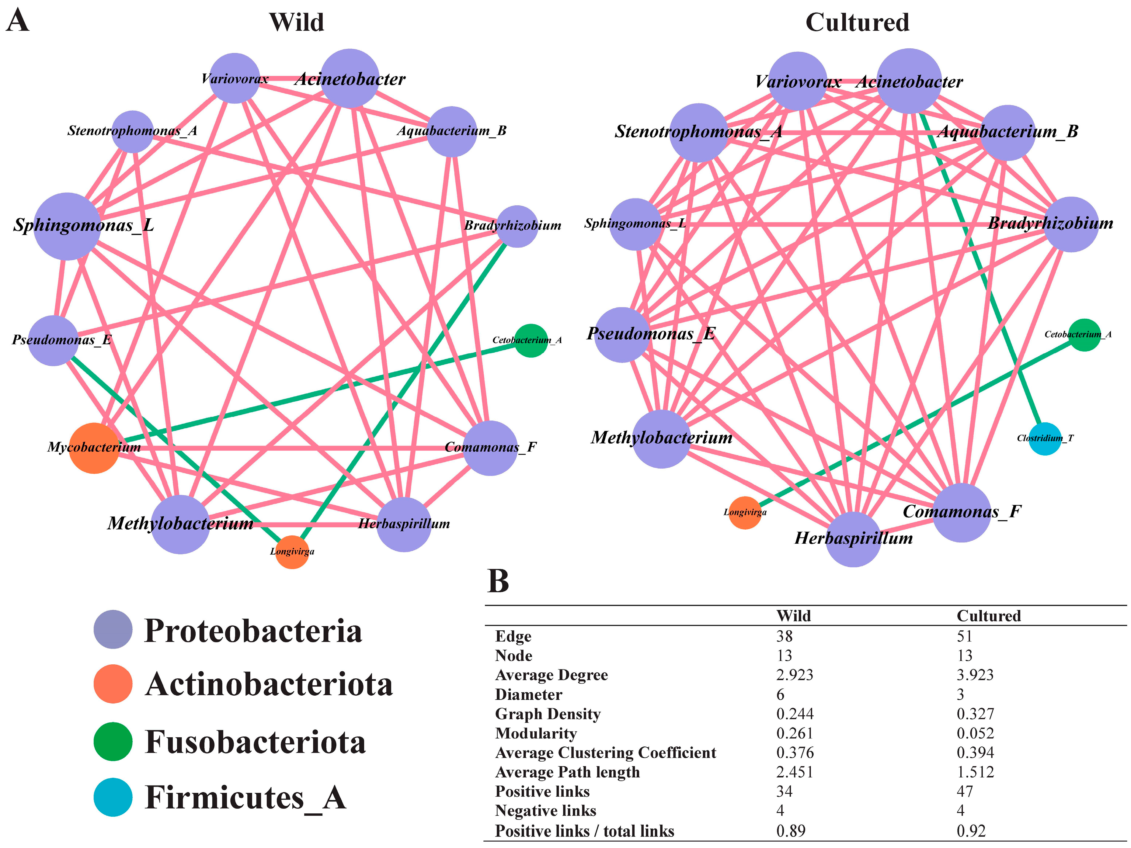 Microorganisms 13 00020 g008