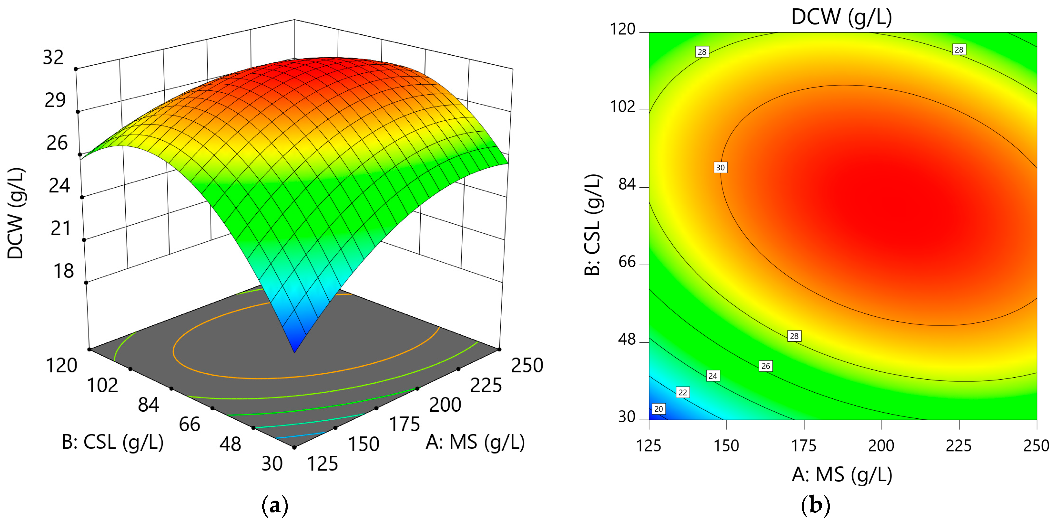 Microorganisms 13 00022 g001