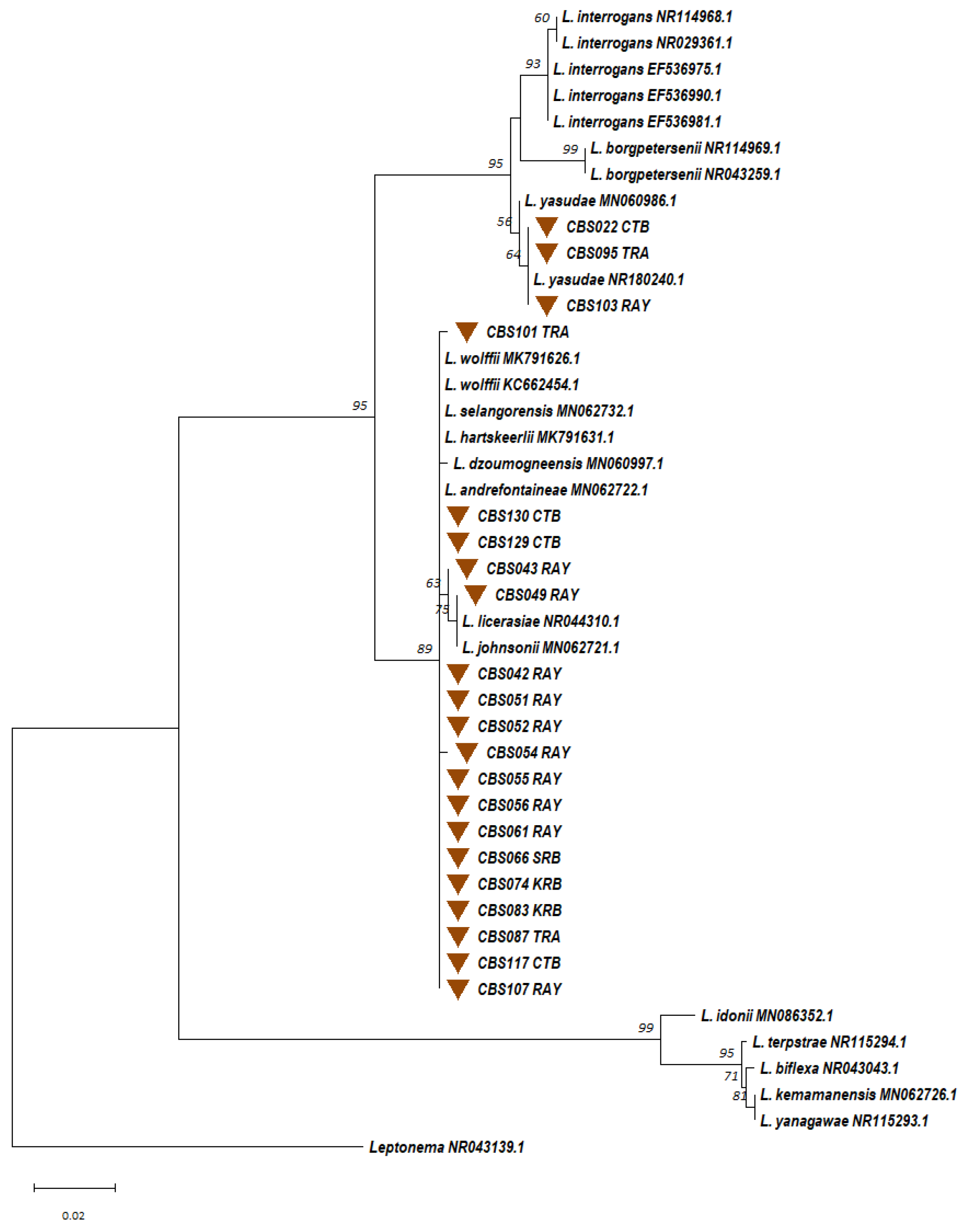 Microorganisms 13 00029 g009