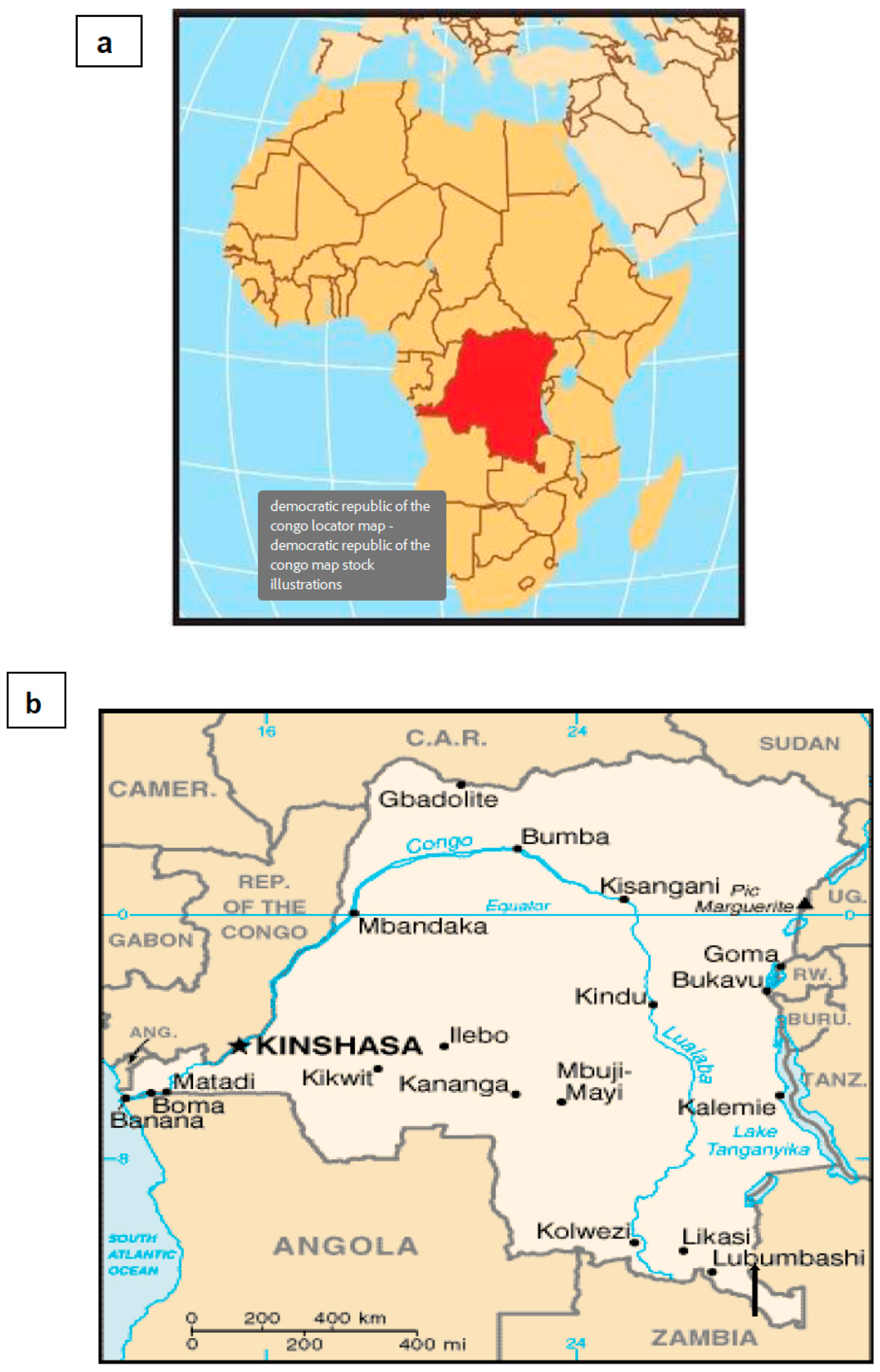 Microorganisms 13 00031 g001
