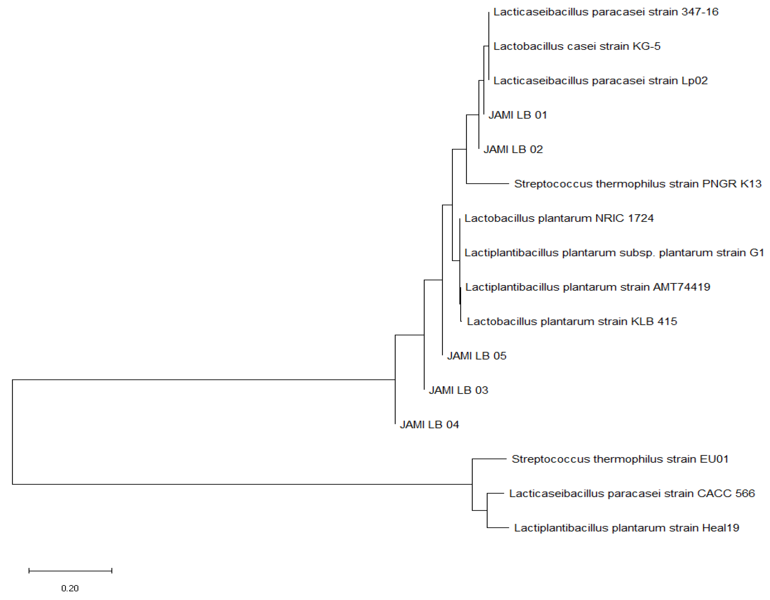 Microorganisms 13 00032 g001