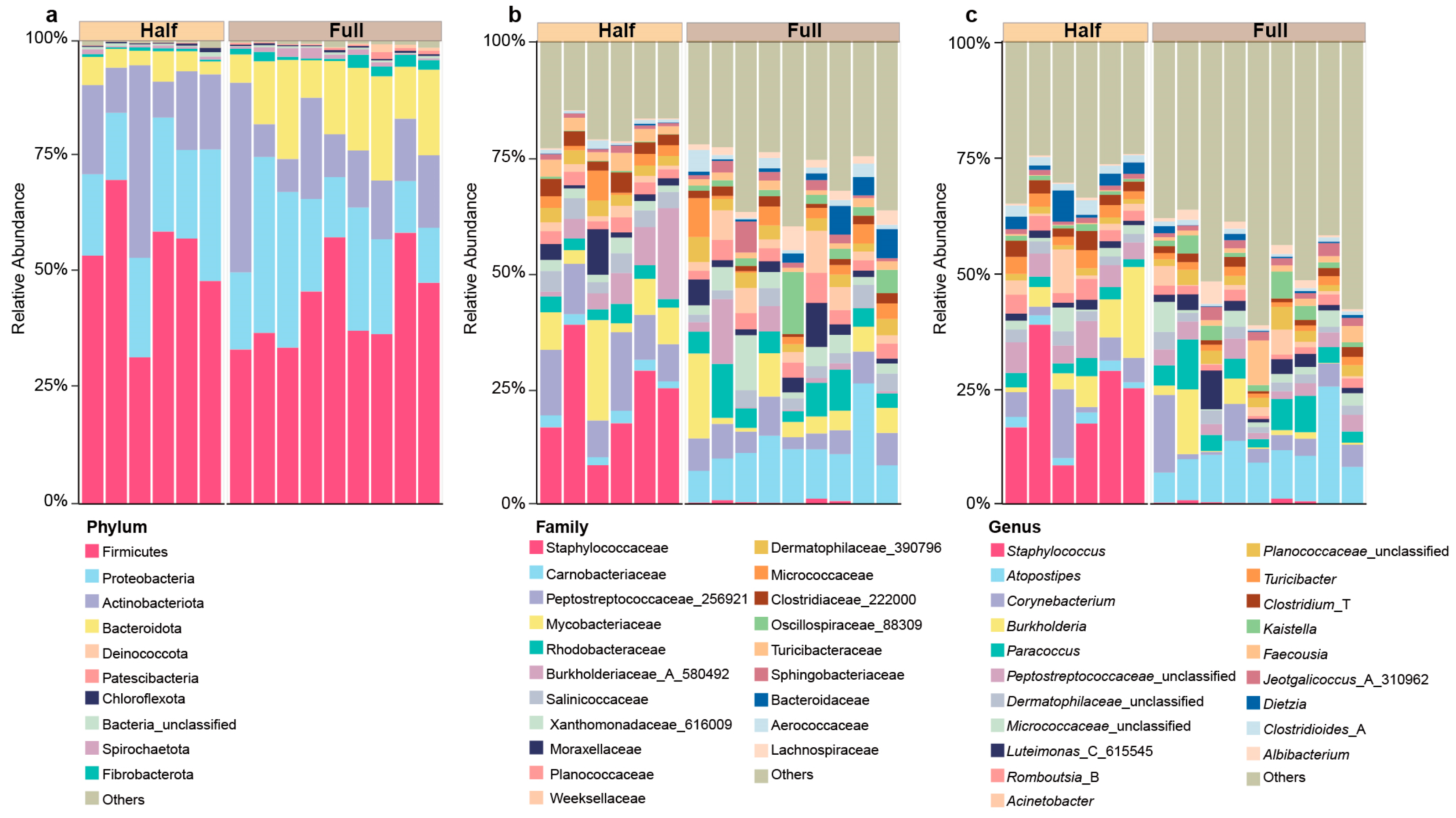 Microorganisms 13 00036 g001