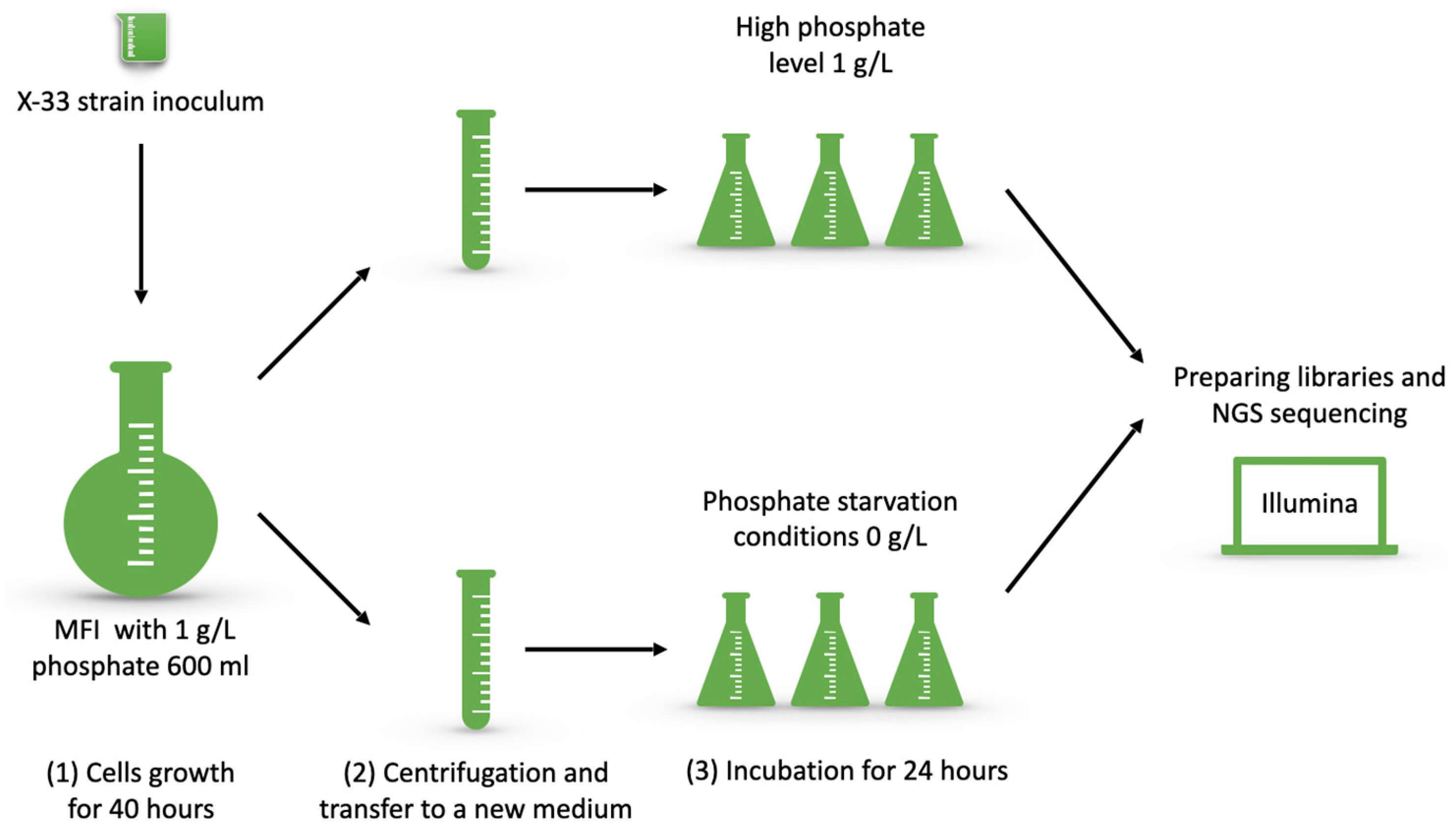 Microorganisms 13 00039 g001 Microorganisms 13 00039 g001
