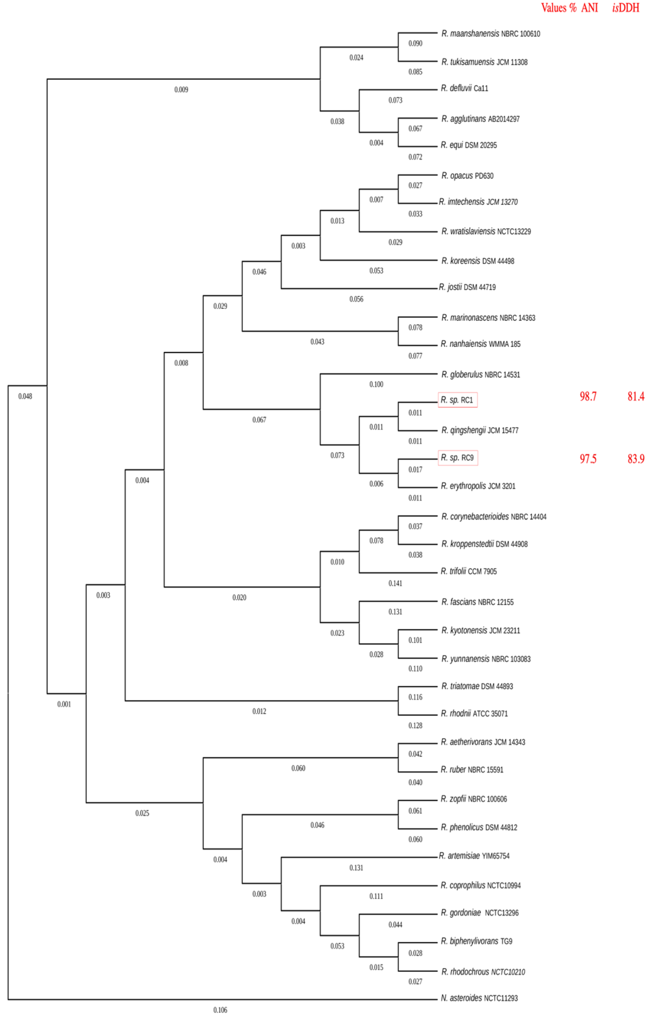 Microorganisms 13 00040 g001
