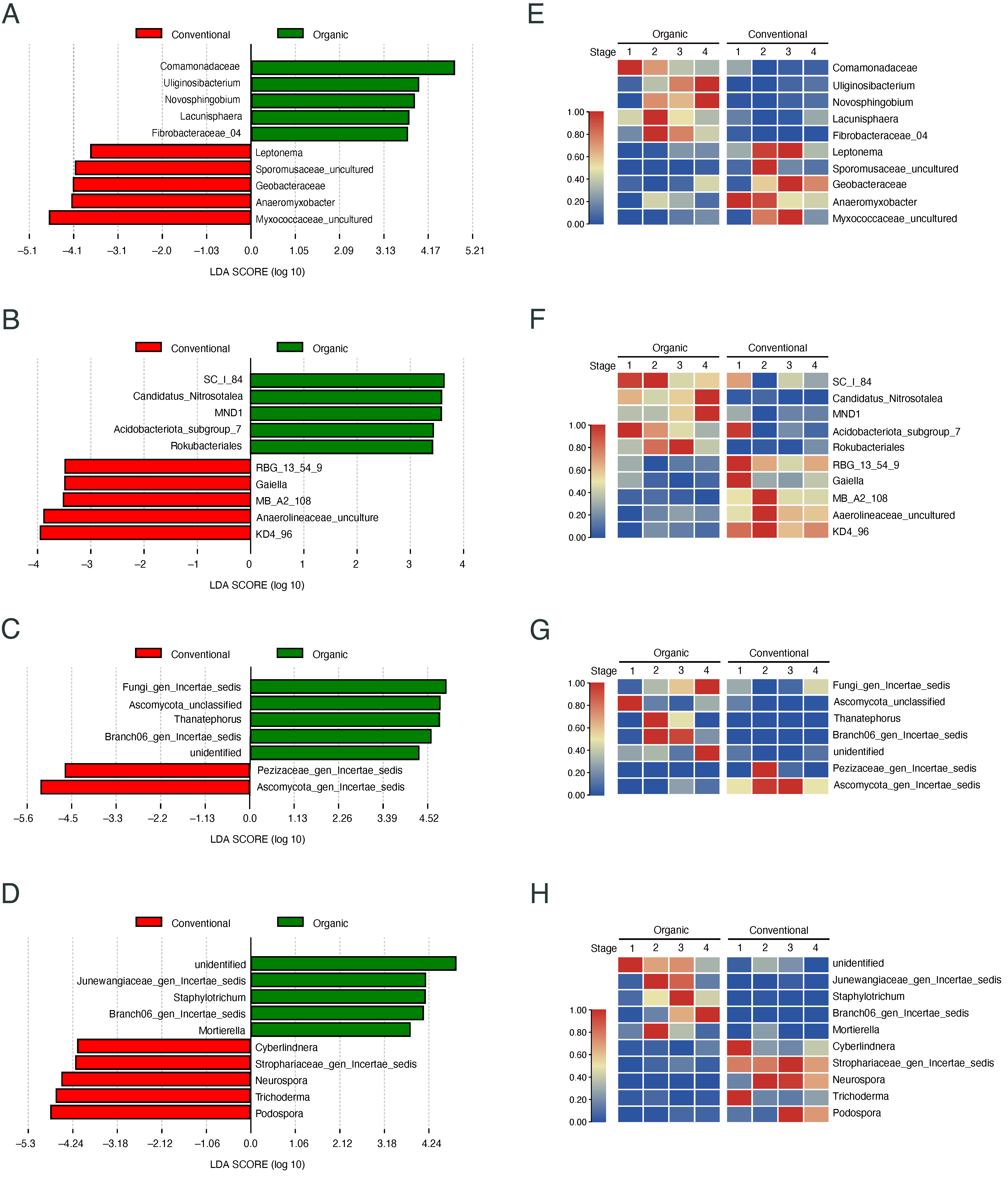 Microorganisms 13 00041 g006 Microorganisms 13 00041 g006