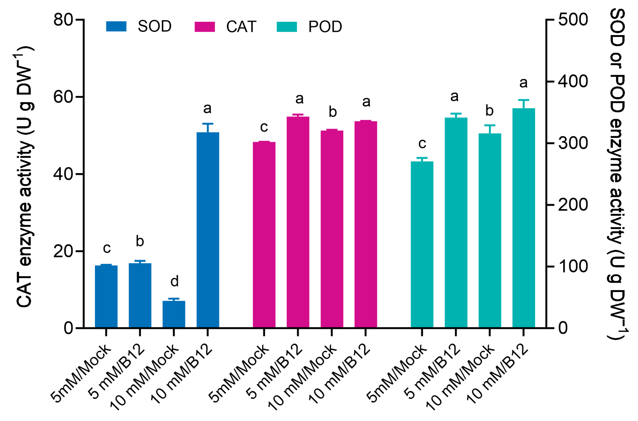 Microorganisms 13 00043 g011