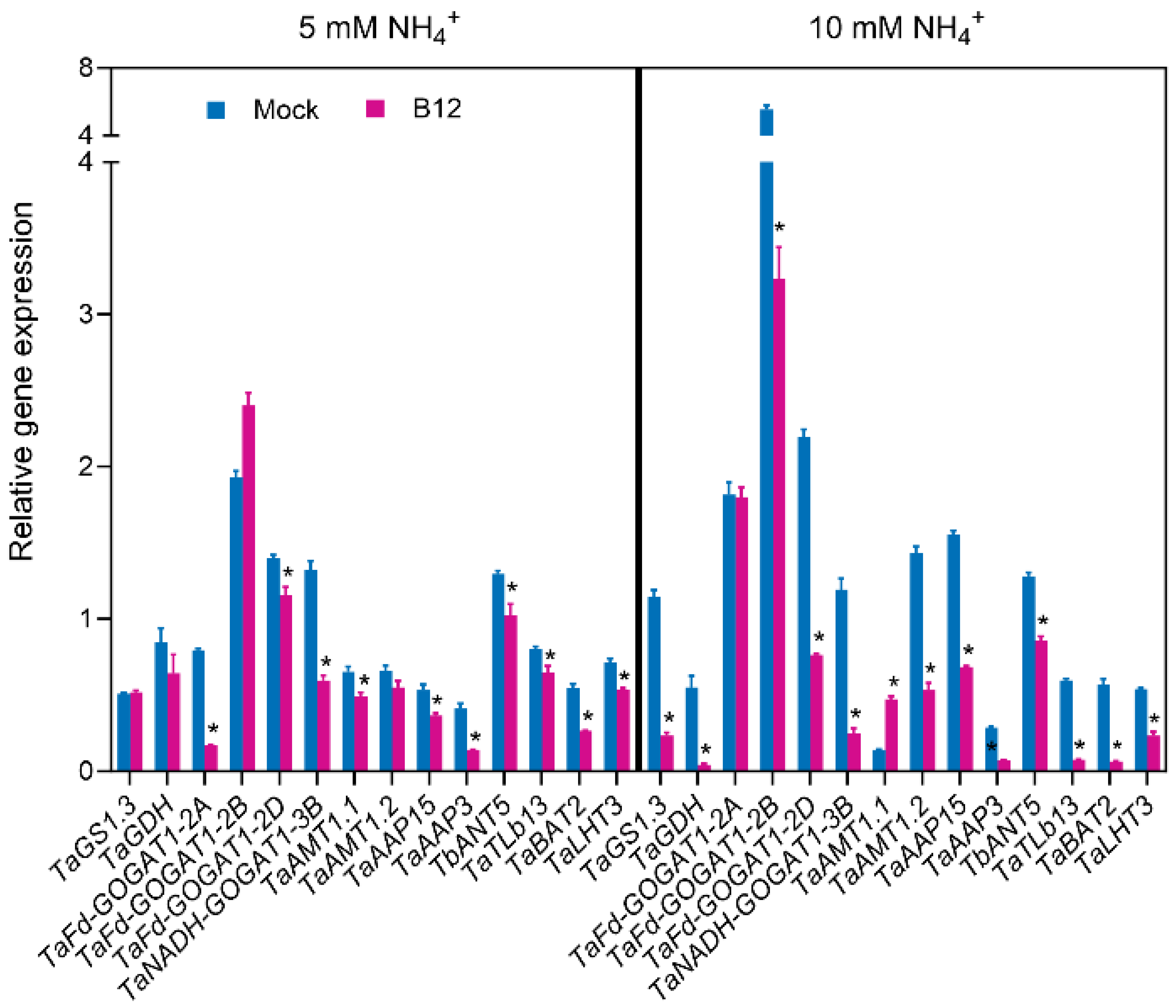 Microorganisms 13 00043 g012