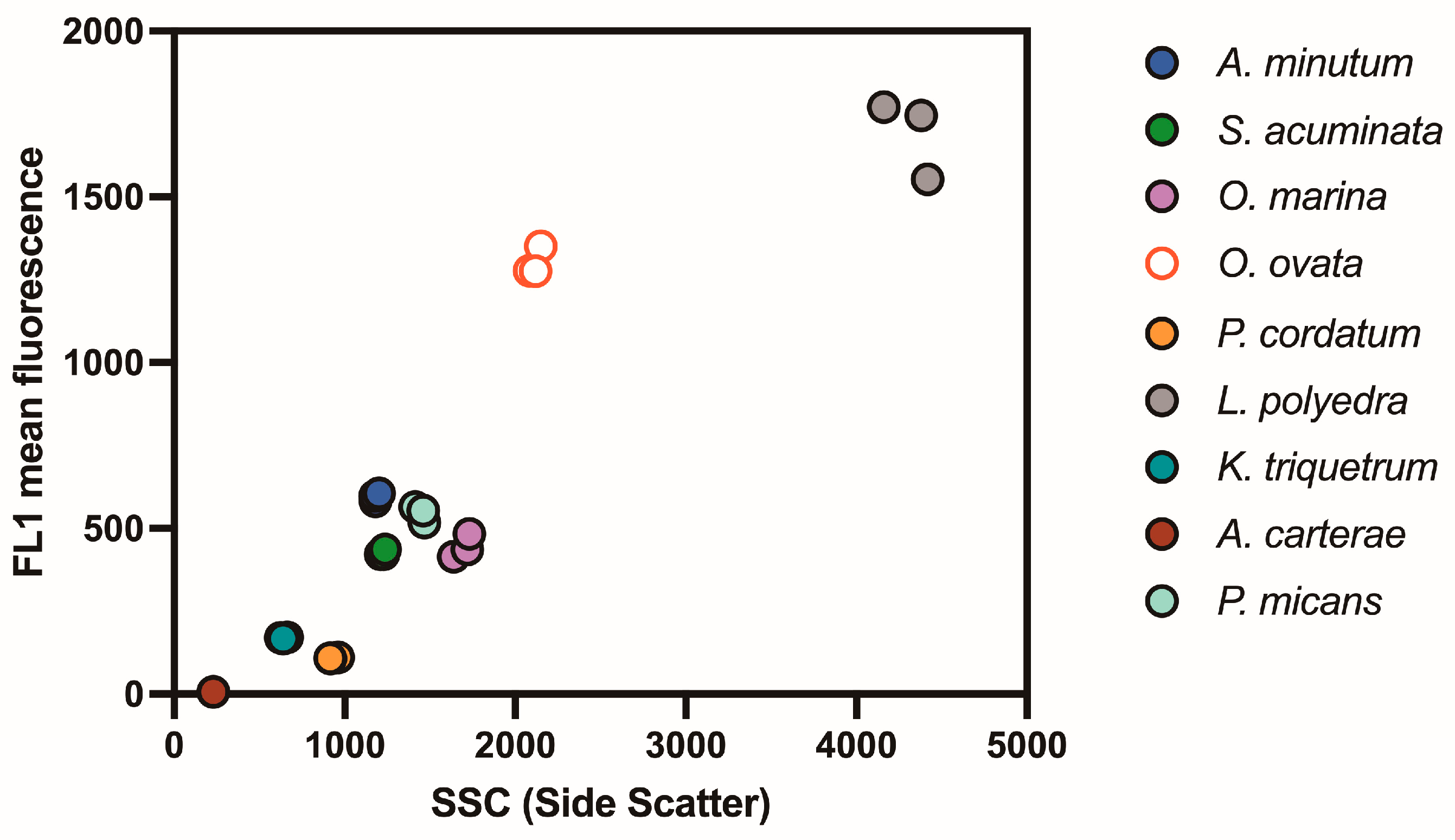 Microorganisms 13 00044 g002