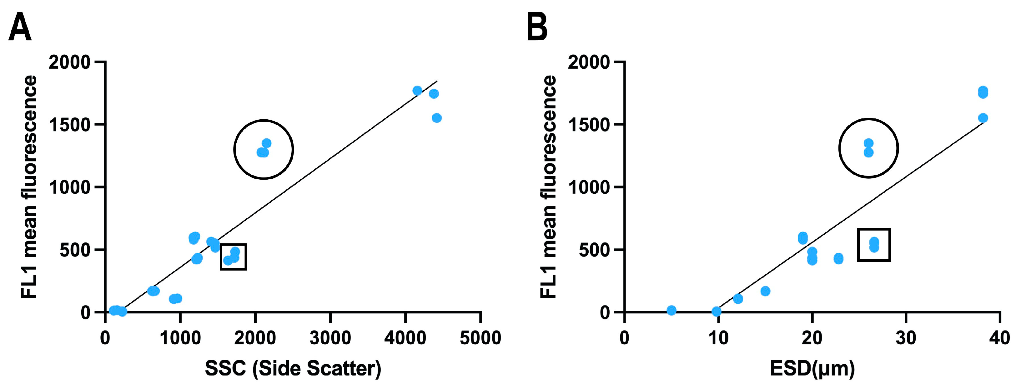 Microorganisms 13 00044 g004