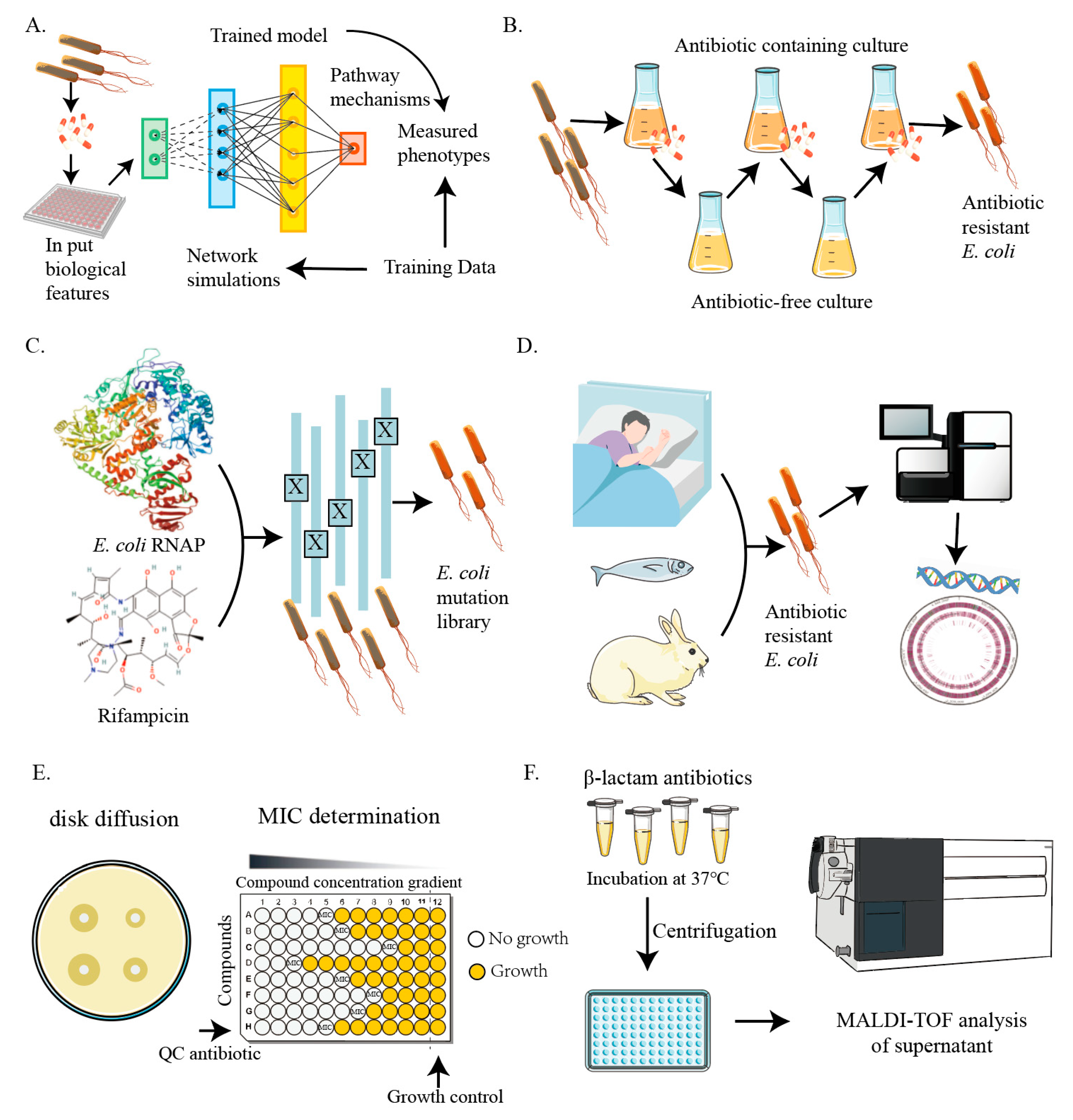 Microorganisms 13 00051 g001