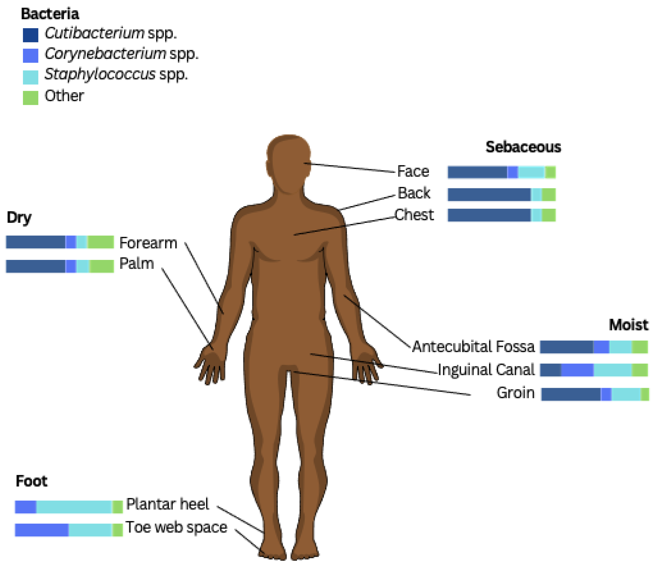 Microorganisms 13 00054 g001