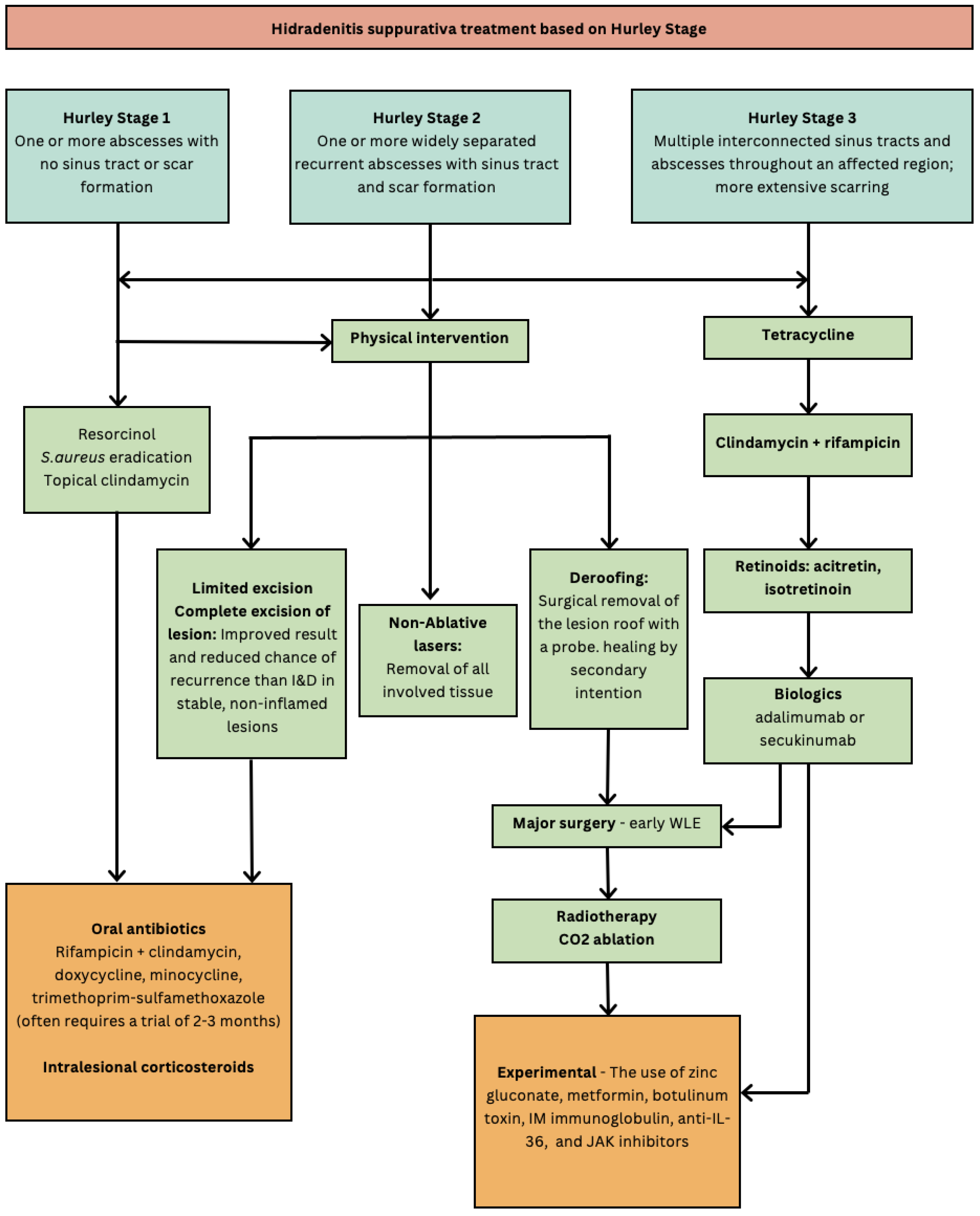 Microorganisms 13 00054 g002