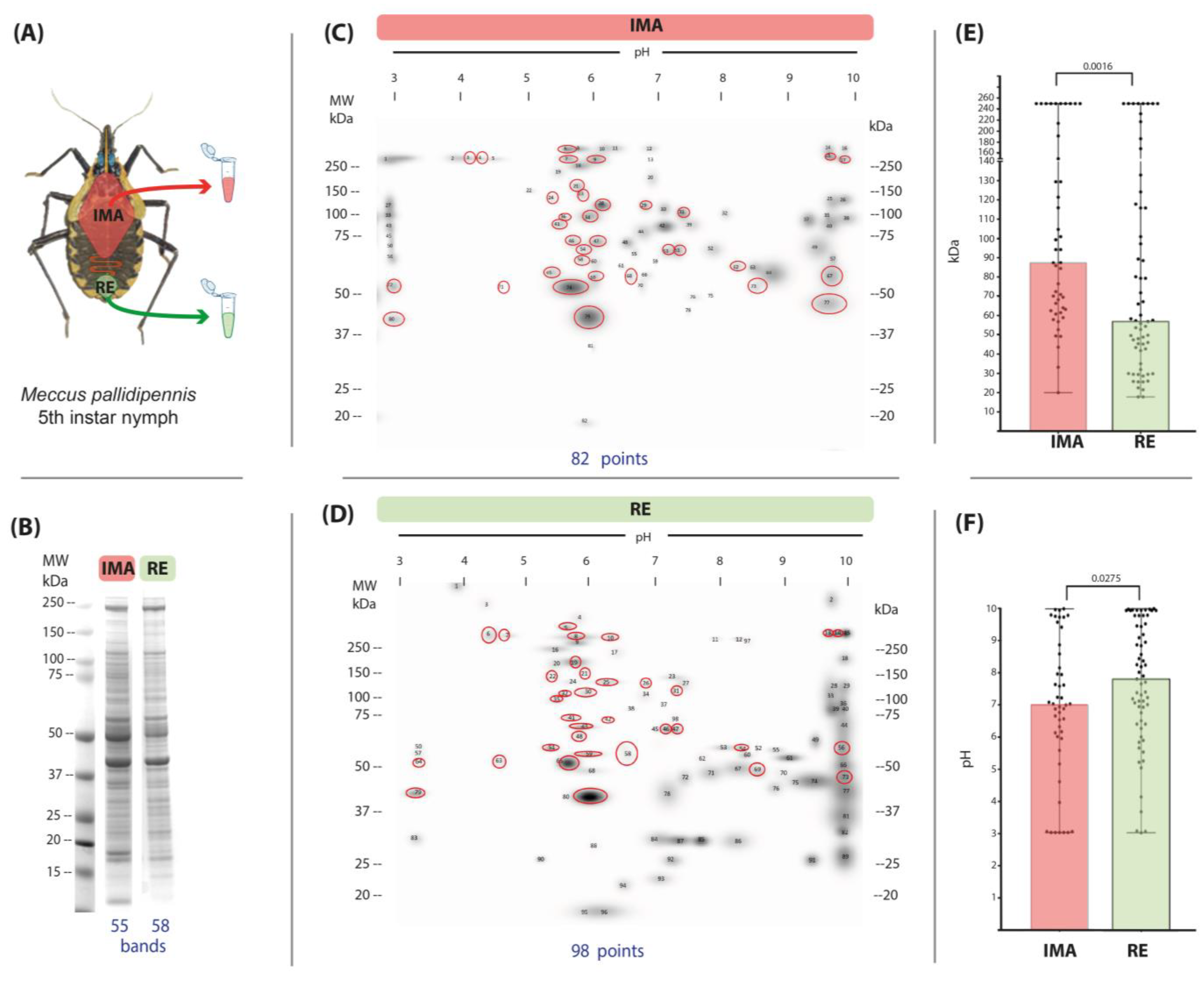 Microorganisms 13 00058 g001